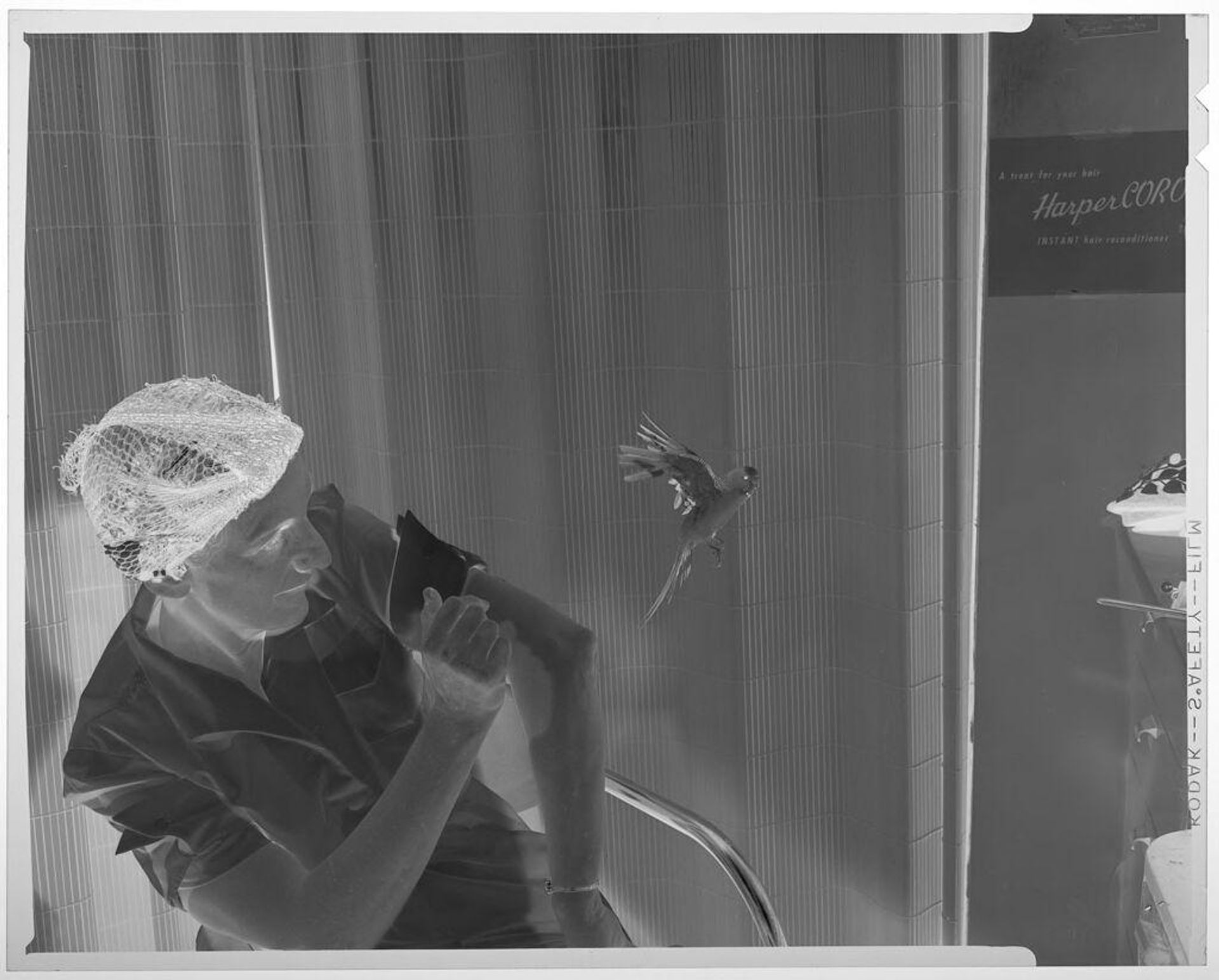 Untitled (woman in hair net watching bird fly away) by Jack Gould