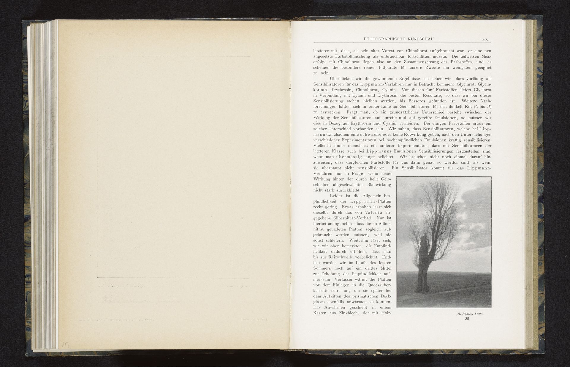Gezicht op een boom in een veld by H. Radcke
