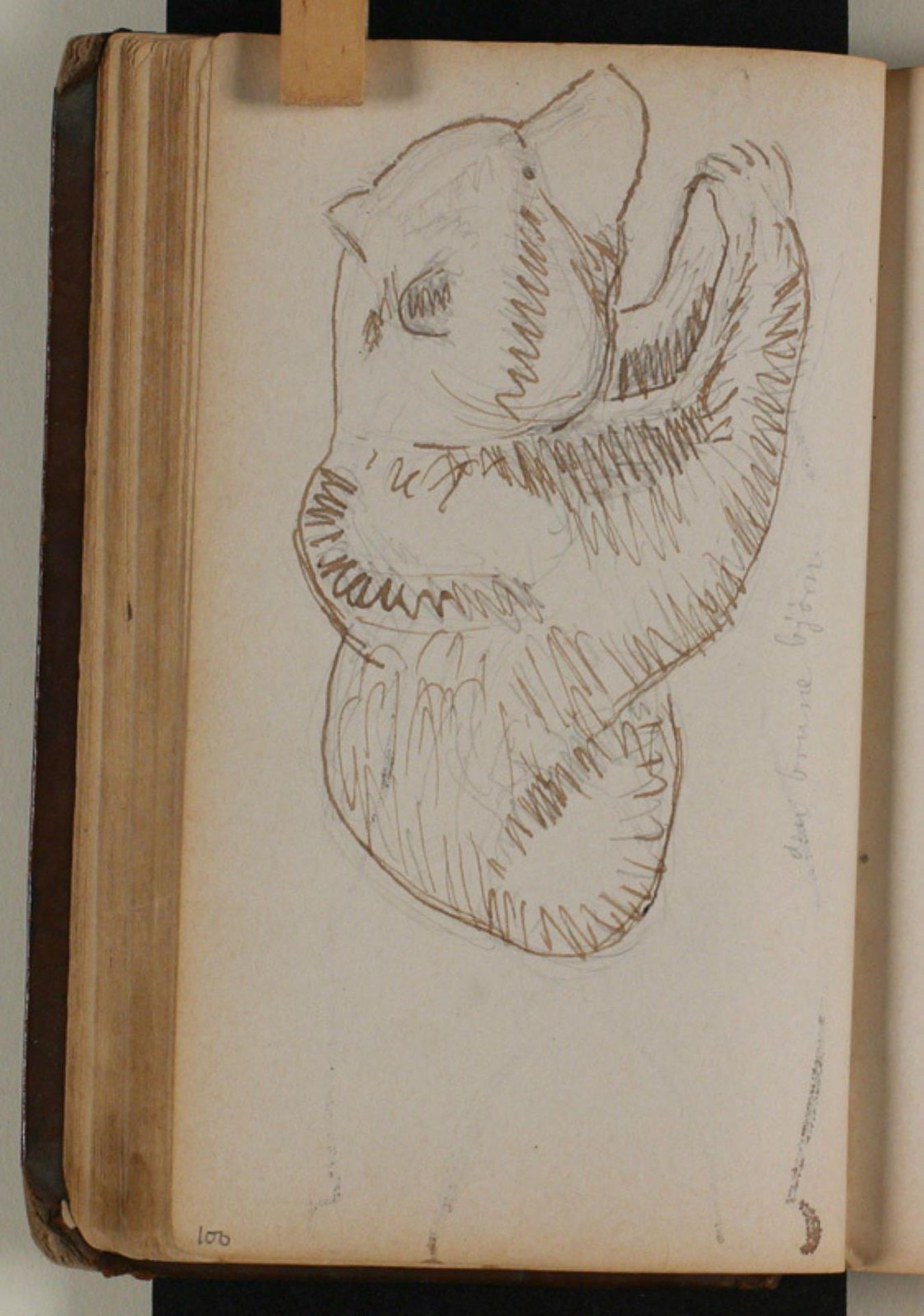 Studie af brun bjørn by Niels Larsen Stevns