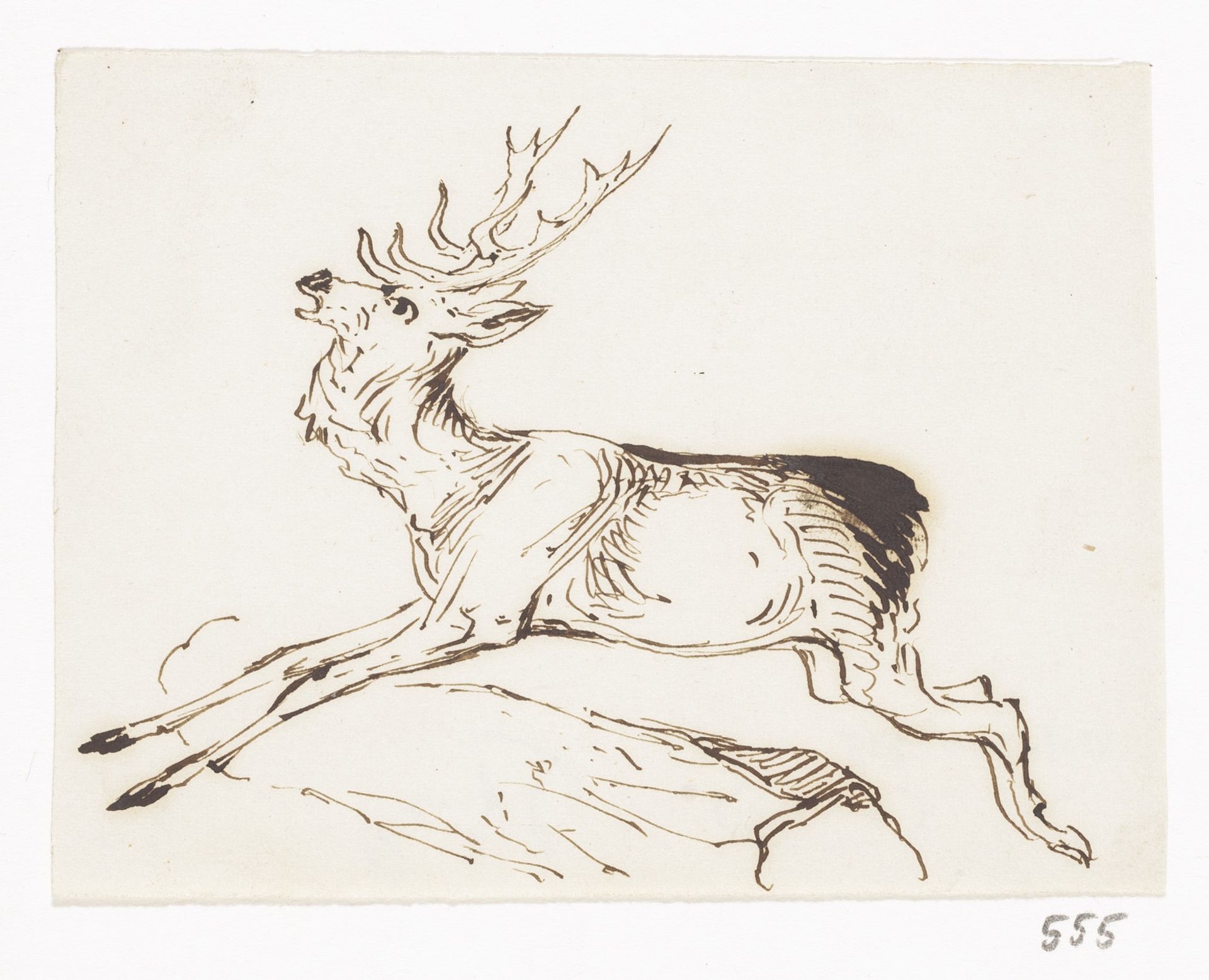 Hert by Johannes Tavenraat
