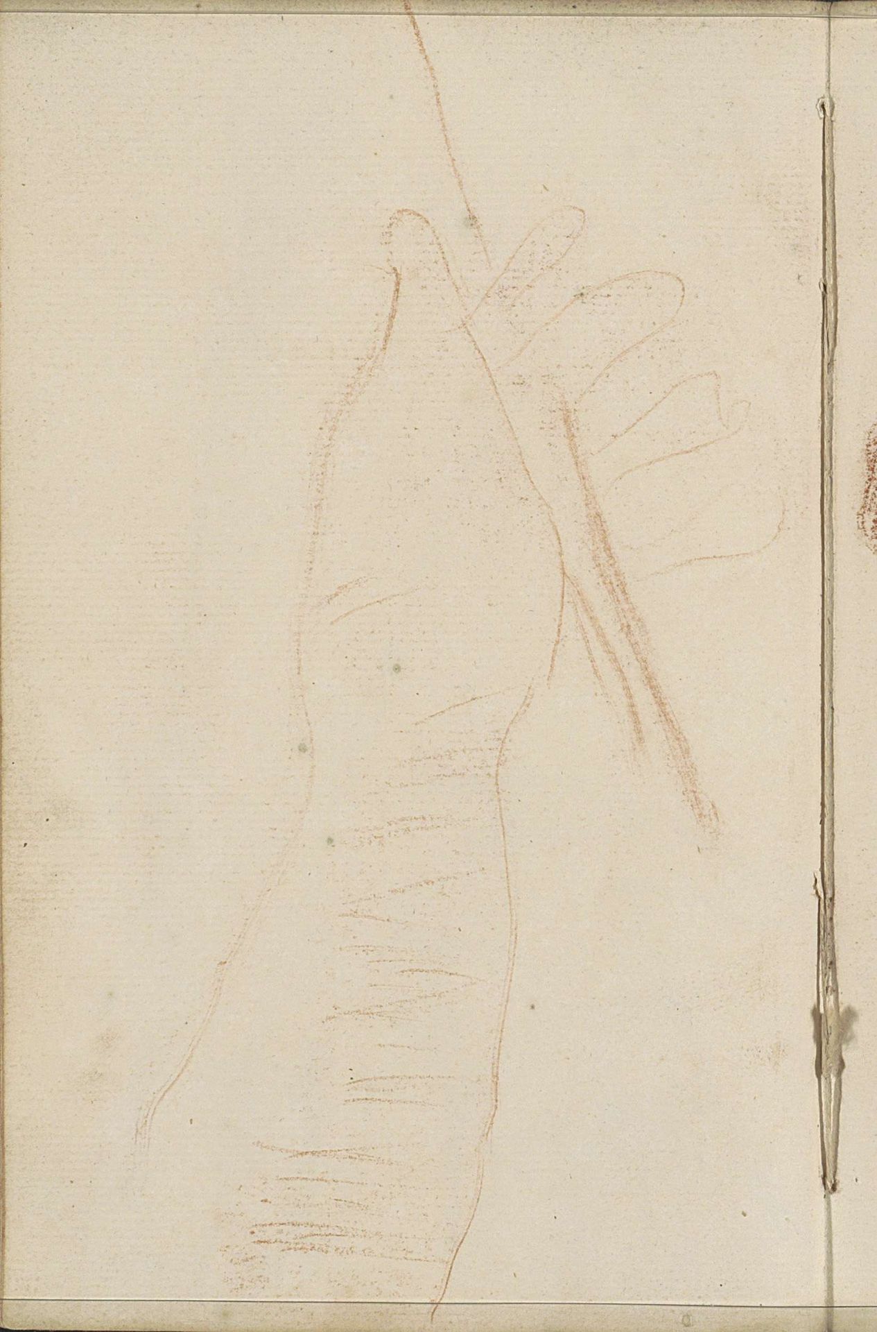 Hand die een stok vasthoudt by Petrus Johannes van Reysschoot