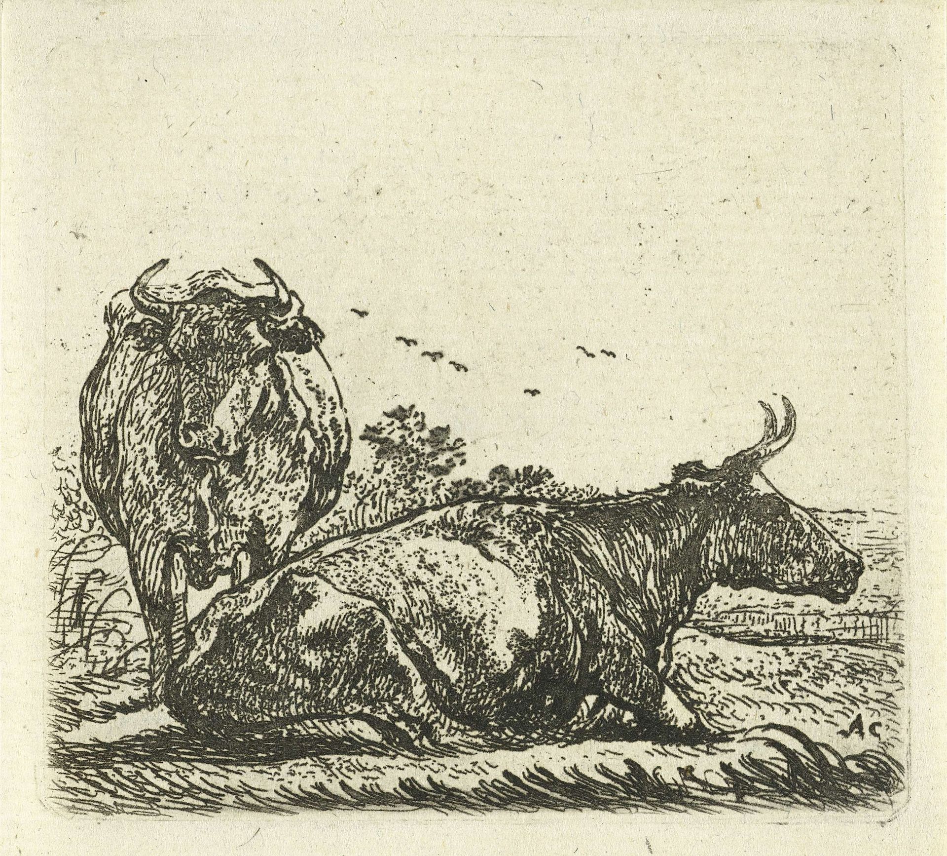 Twee koeien by Aelbert Cuyp