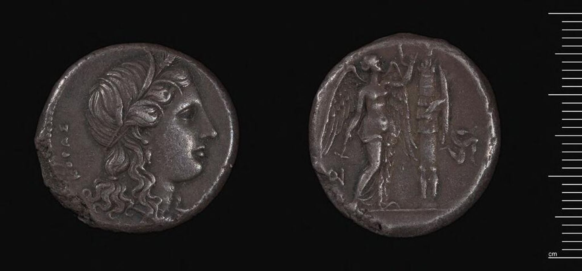 Tetradrachm of Agathokles,Tyrant of Syracuse by Agathokles of Syracuse