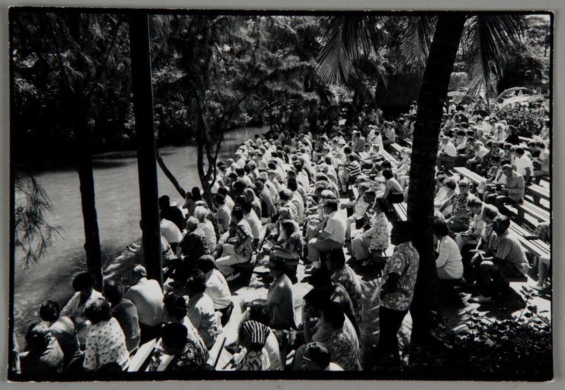 Untitled (Hawaii) by Bill Dane