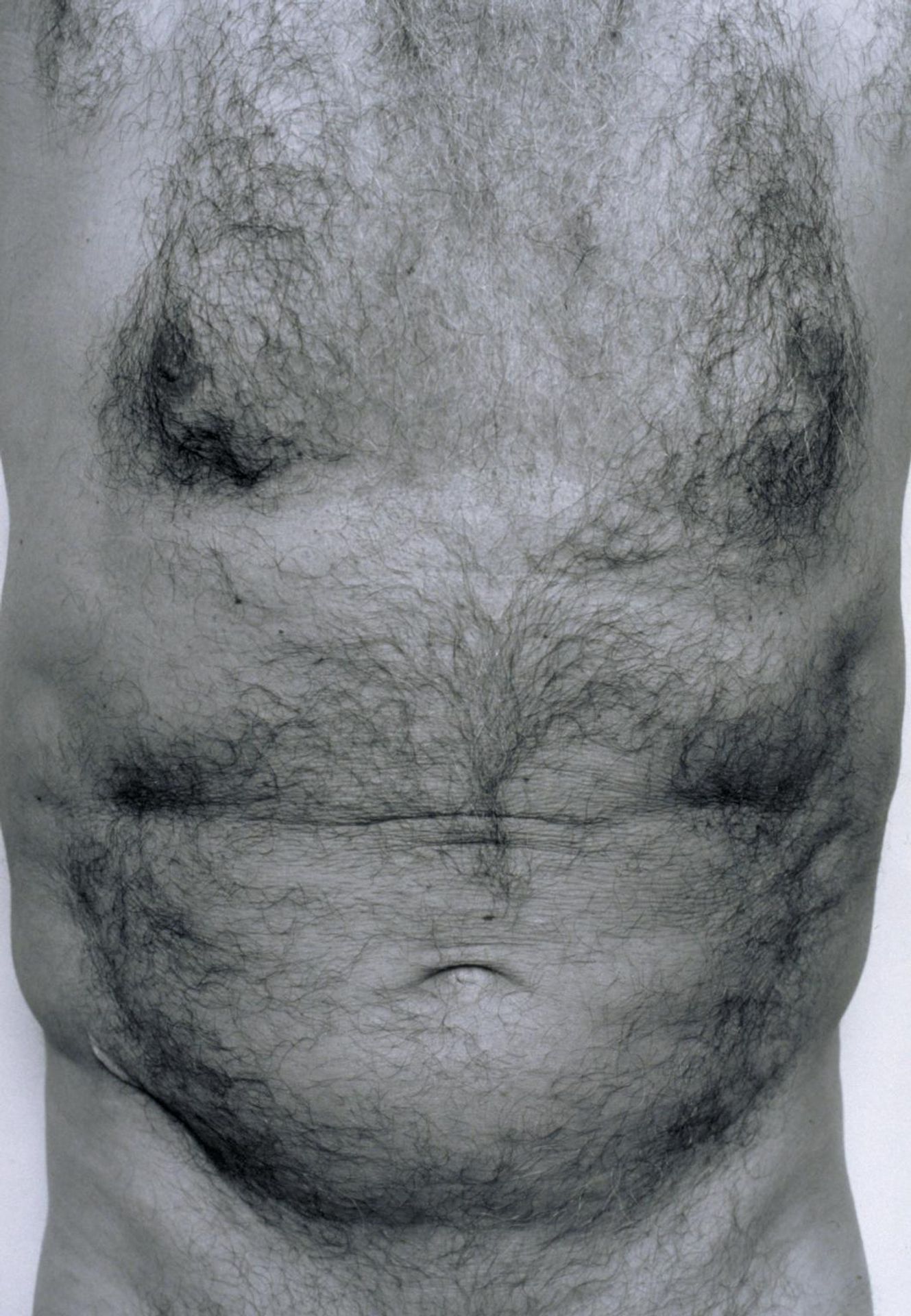 Self-Portrait (Torso, Front) by  John Coplans