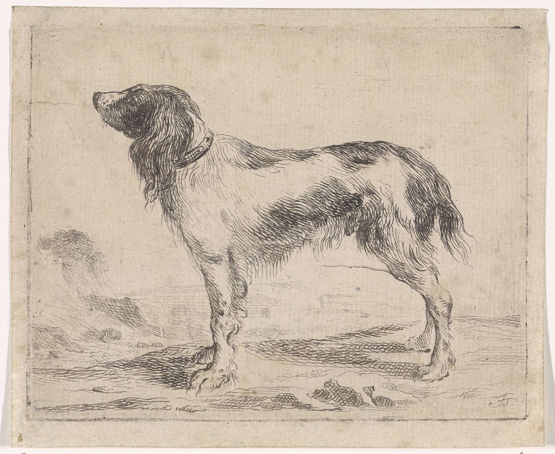 Staande hond by Jacob Toorenvliet