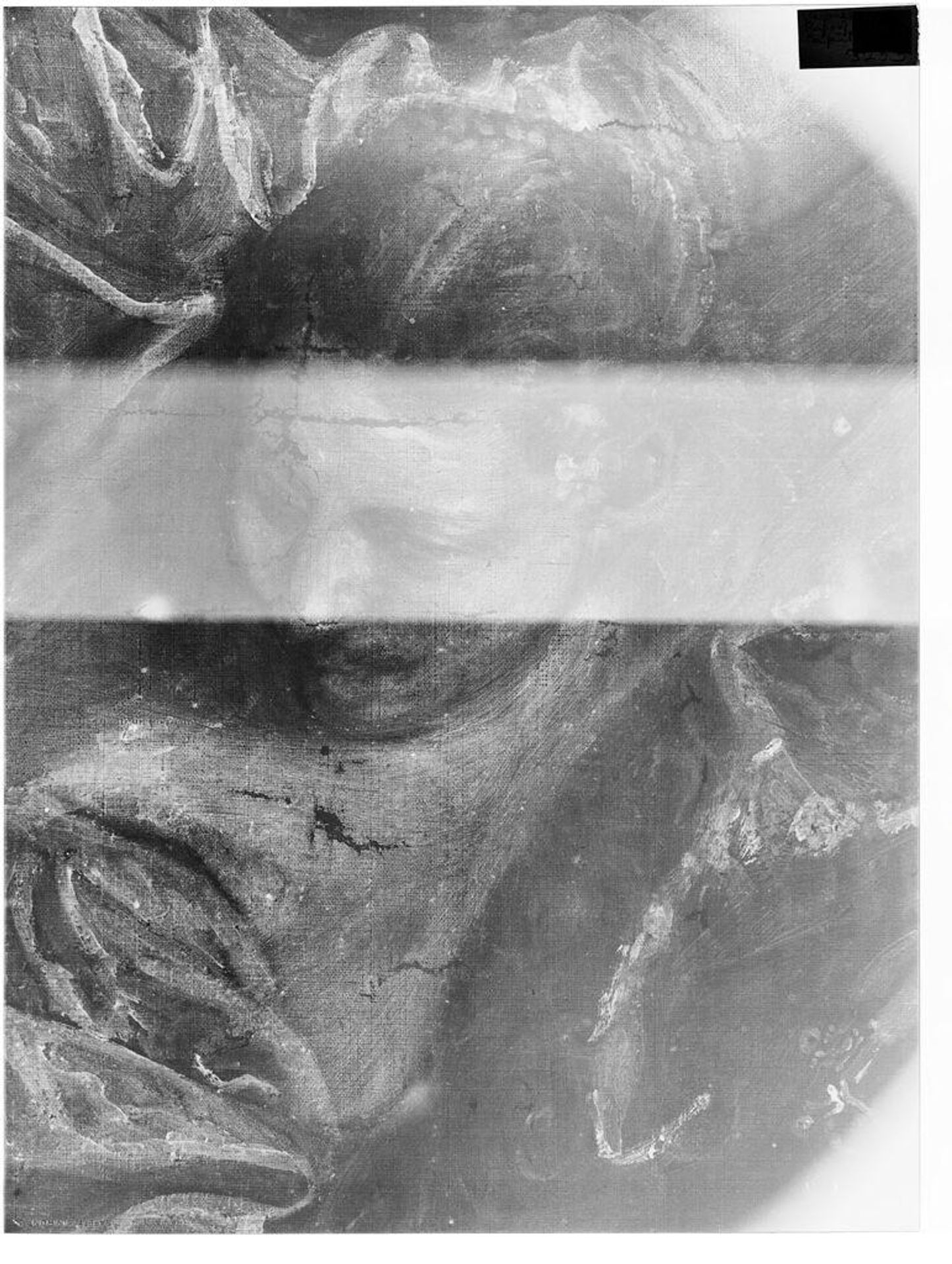 X-radiograph(s) of "Rape of Europa" by Artist of original: Paolo Caliari, called Veronese