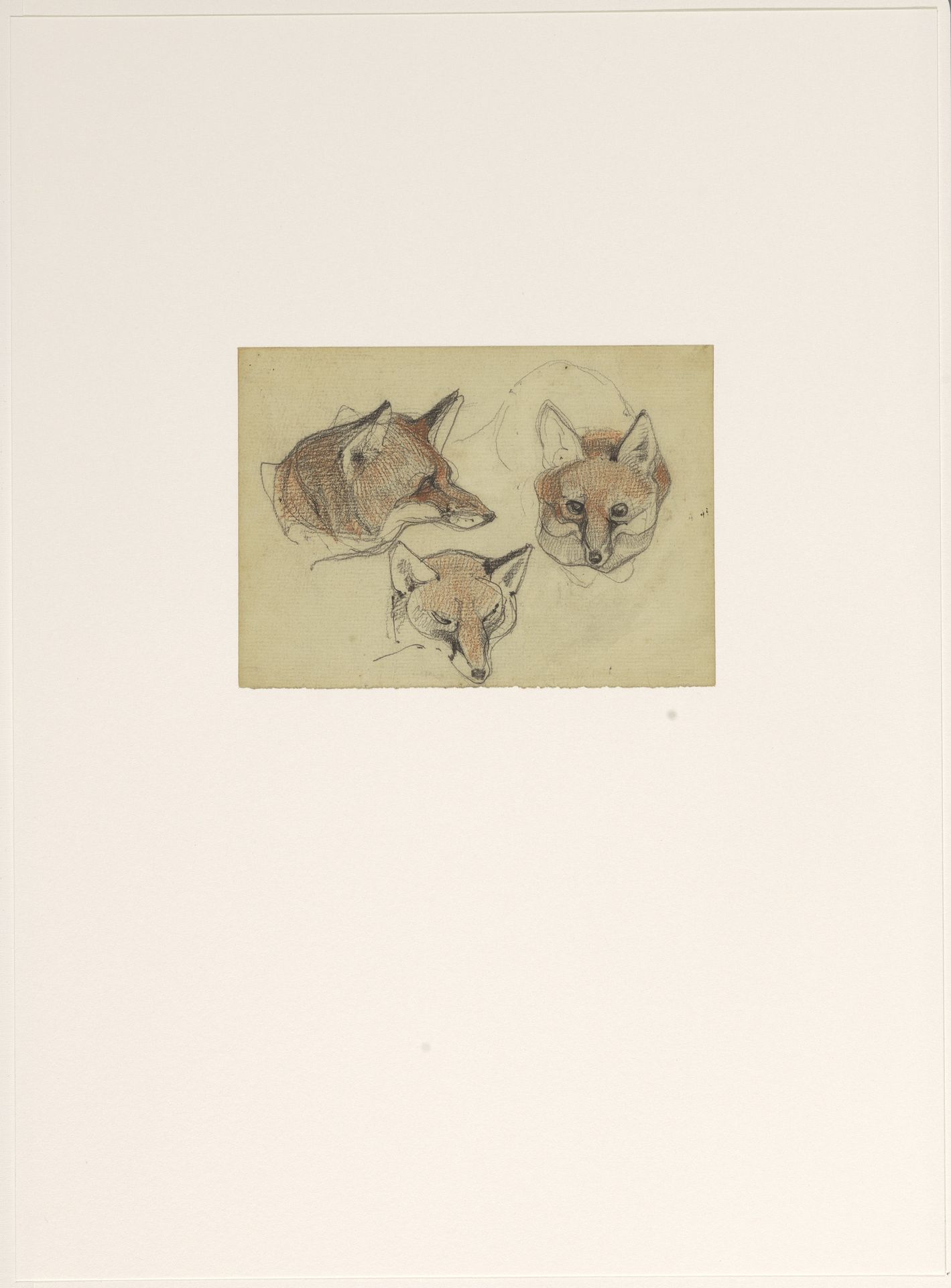 Drie vossenkoppen by Bernard Willem Wierink