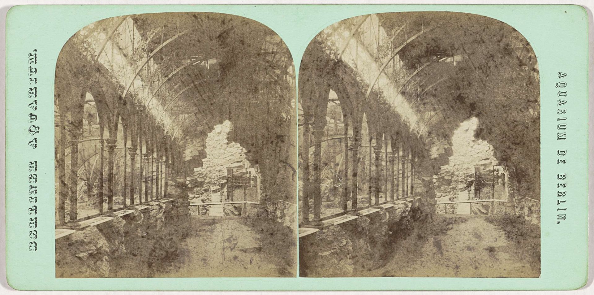 Slangengang in het Berliner Aquarium, gezien vanuit de geologische grot by S.P. Christmann