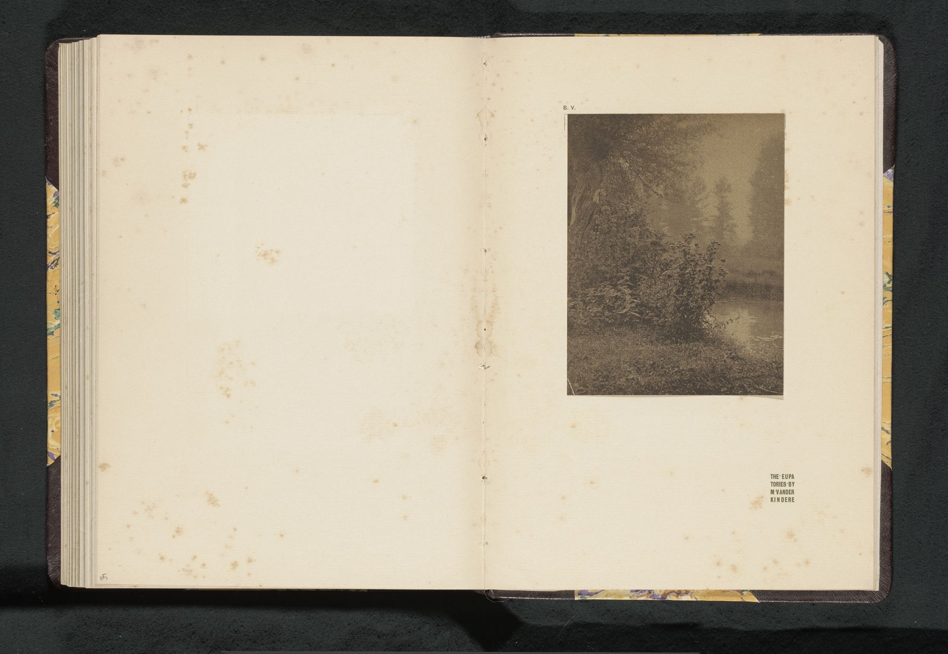 Landschap met koninginnekruid by Marcel Vanderkindere