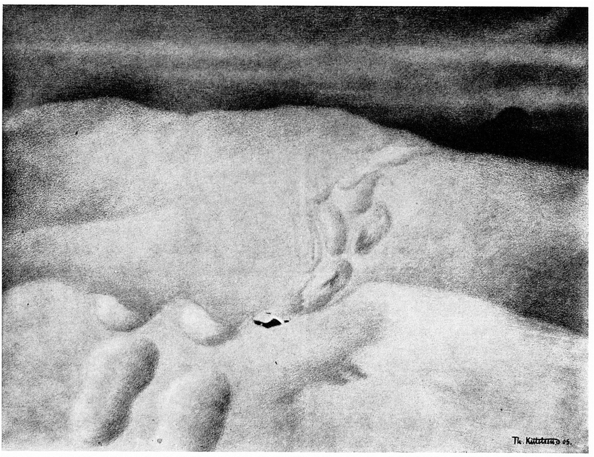 Haa Var Detta For Nokko by Theodor Severin Kittelsen