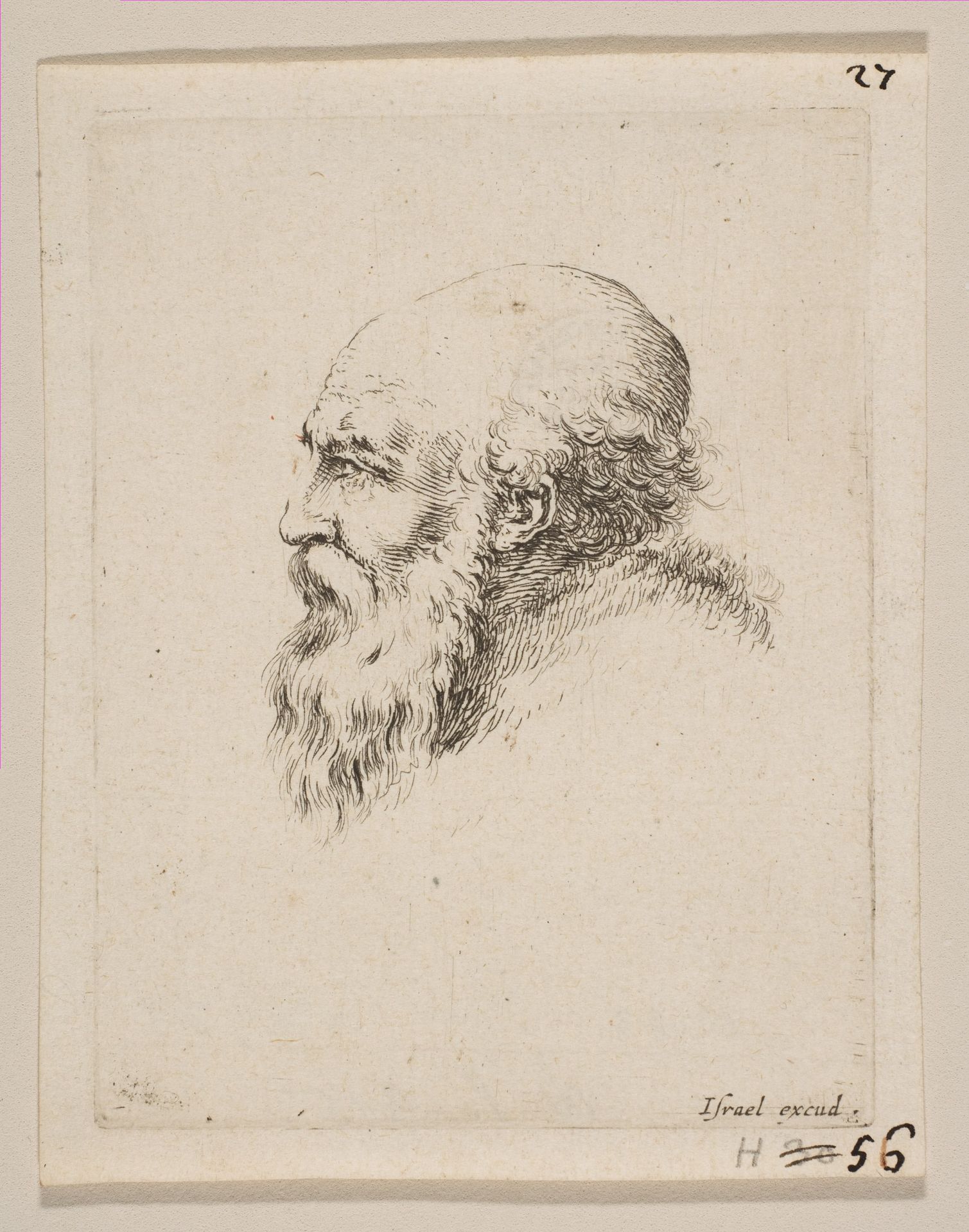 Head of a Bald and Bearded Old Man in Profile, from 'Various heads and figures' (Diverses tétes et figures) by Stefano della Bella