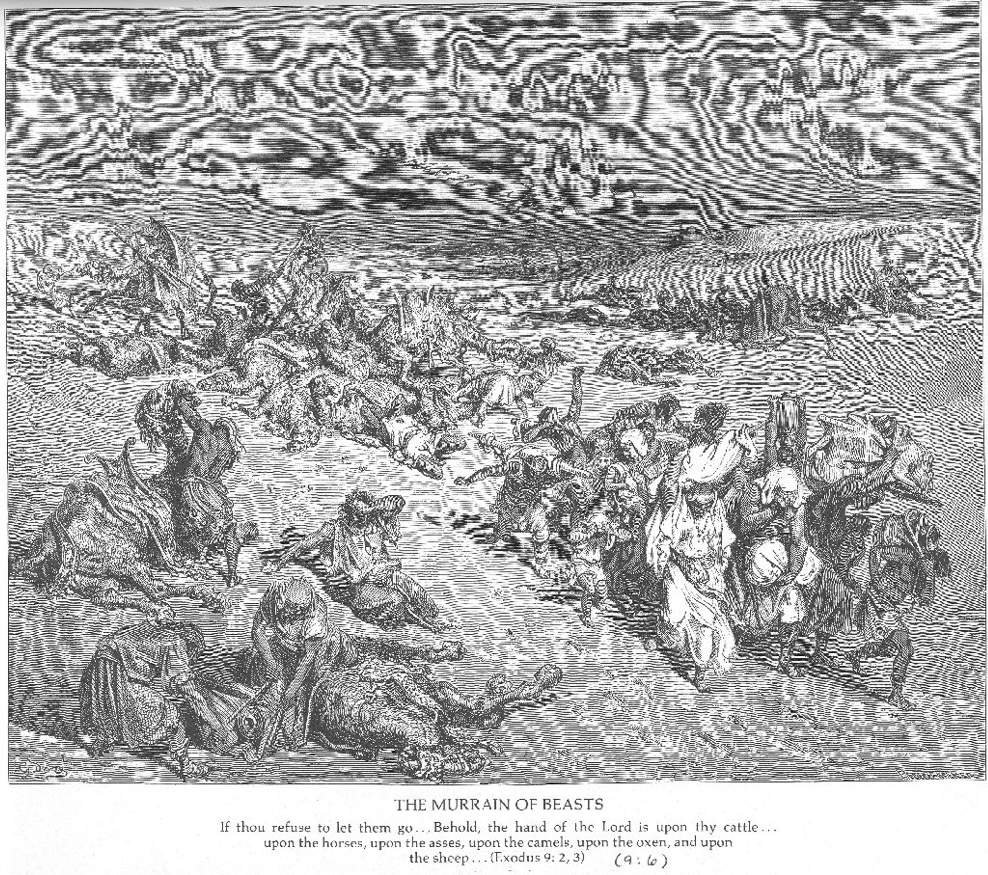 The Fifth Plague. Livestock Disease by Gustave Dore