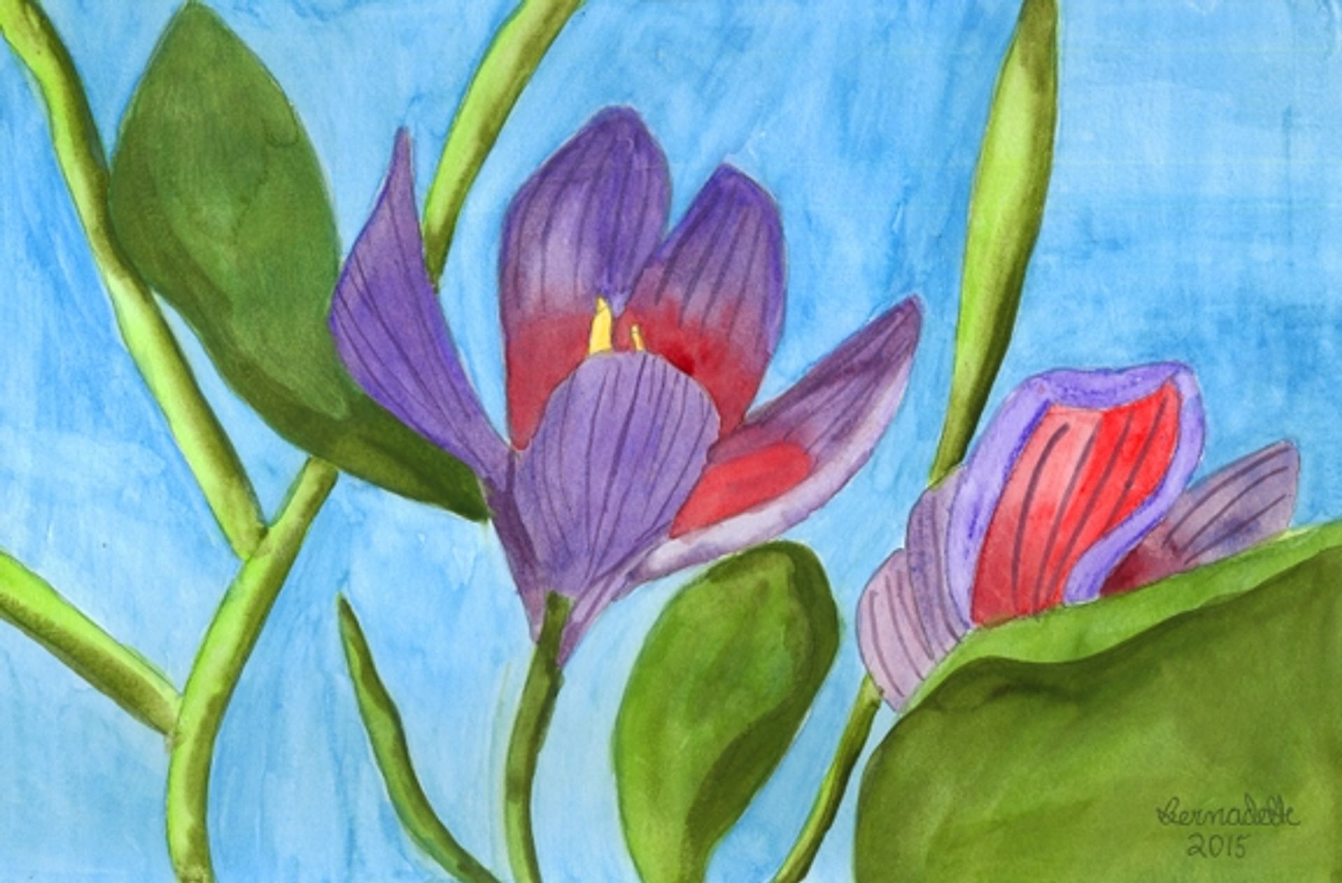 Crocus by Bernadette Resha