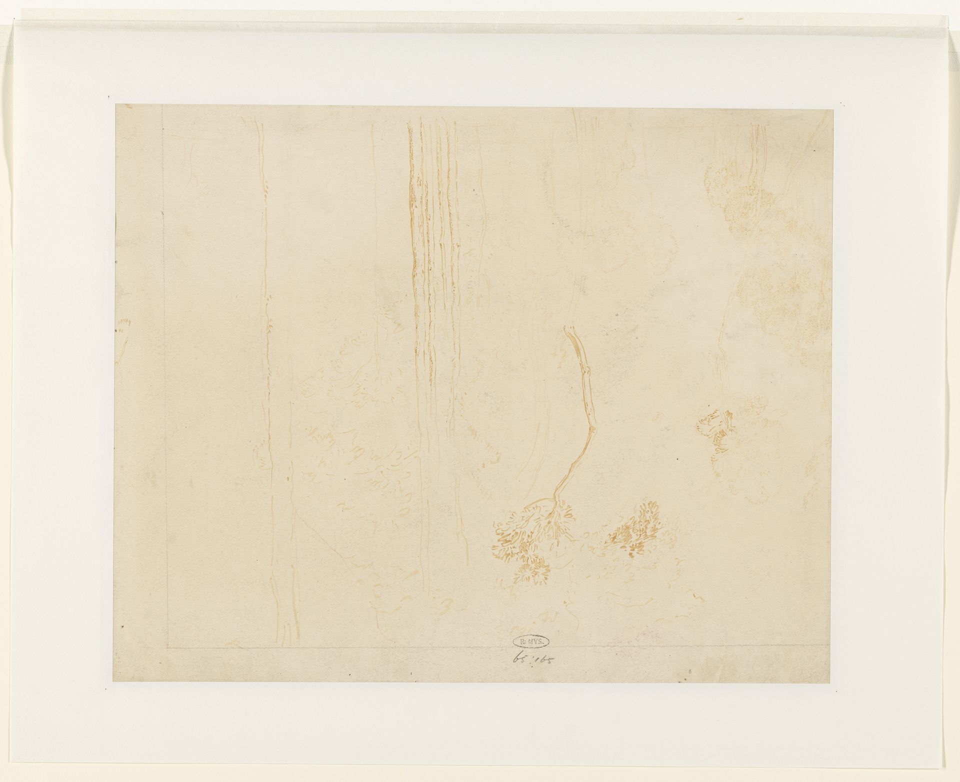 Boomstudies by Willem van Konijnenburg