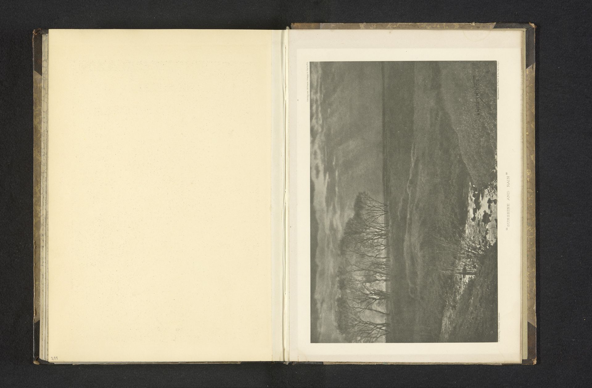 Landschap met bomen by Alfred Horsley Hinton