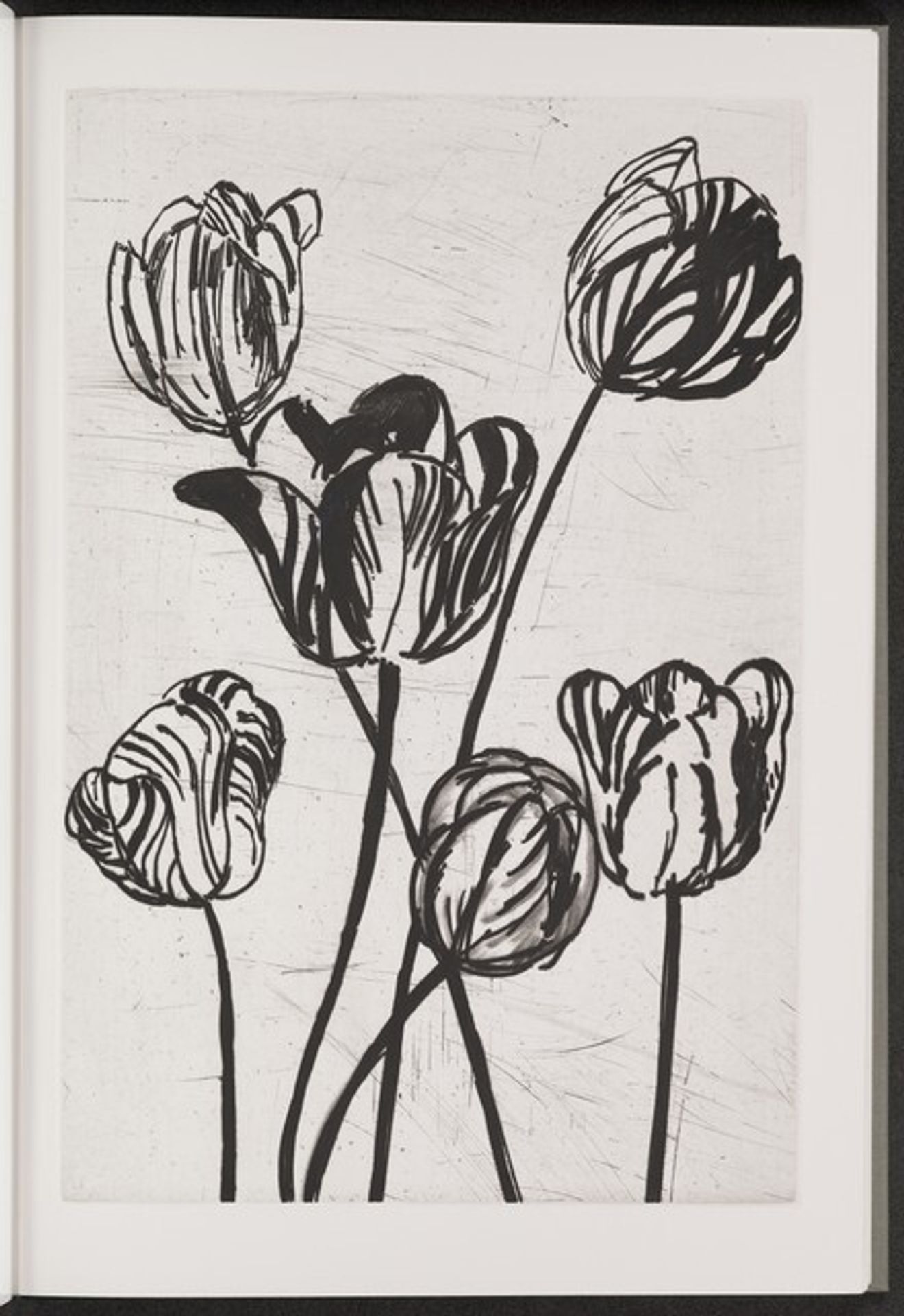 Tulip by Jim Dine