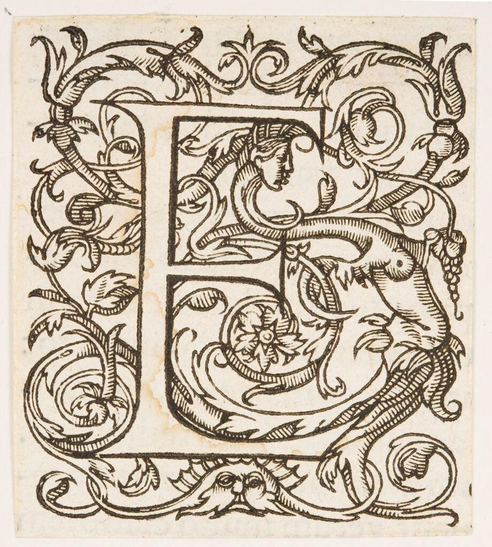 Letter E by Anonymous