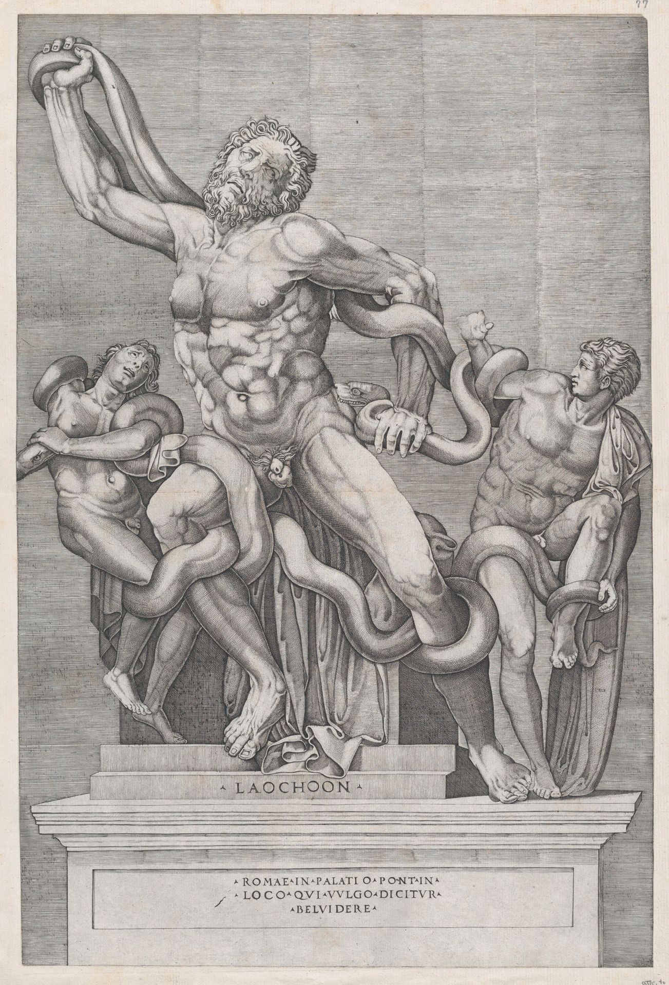 Speculum Romanae Magnificentiae: Laocoon by Nicolas Beatrizet