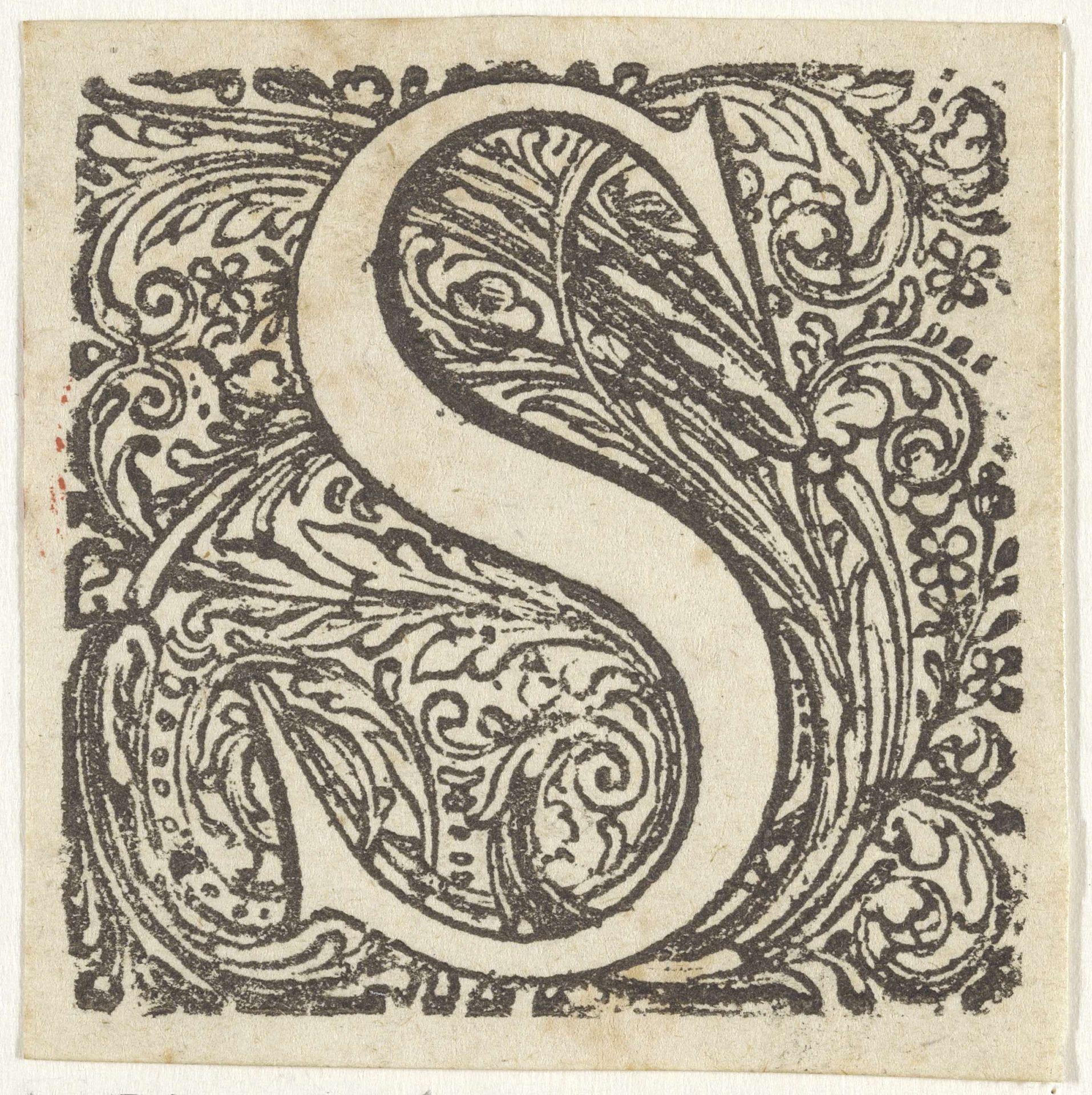 Letter S in een geornamenteerde omlijsting by Anonymous