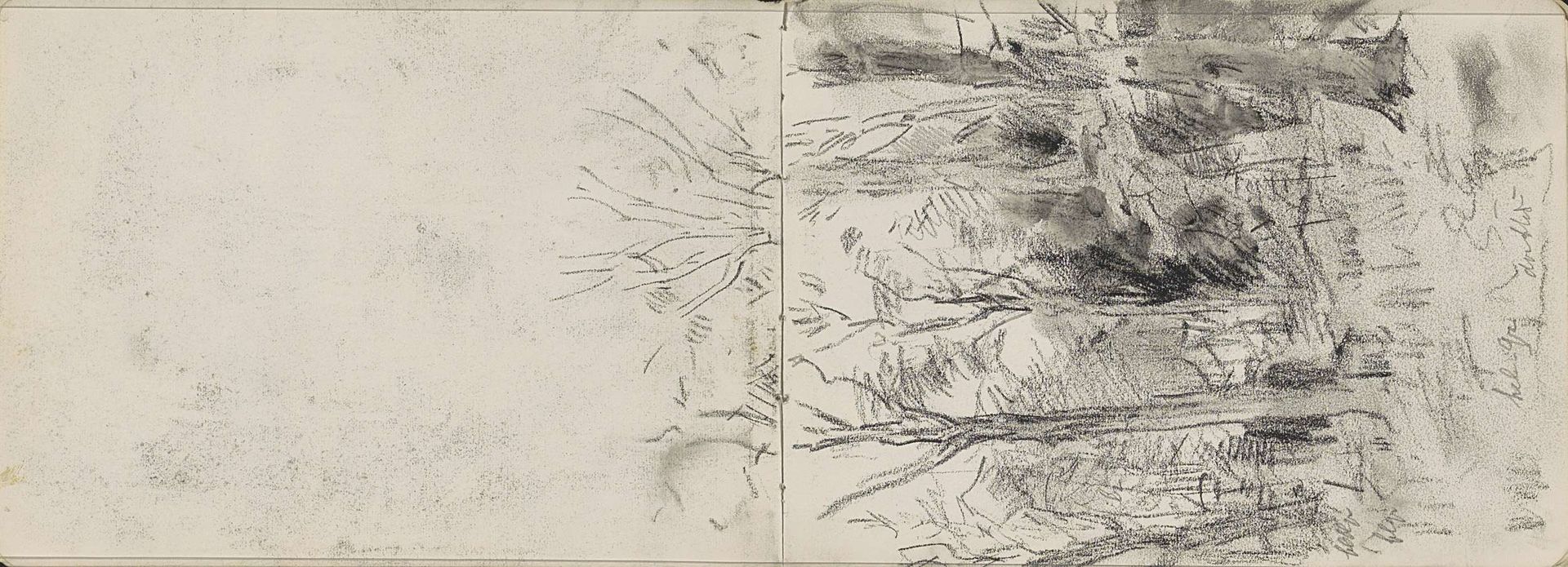 Bosgezicht by Johan Antonie de Jonge