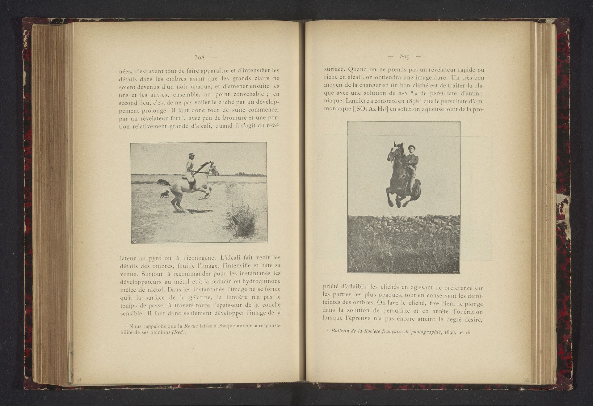 Paard met ruiter by Anonymous