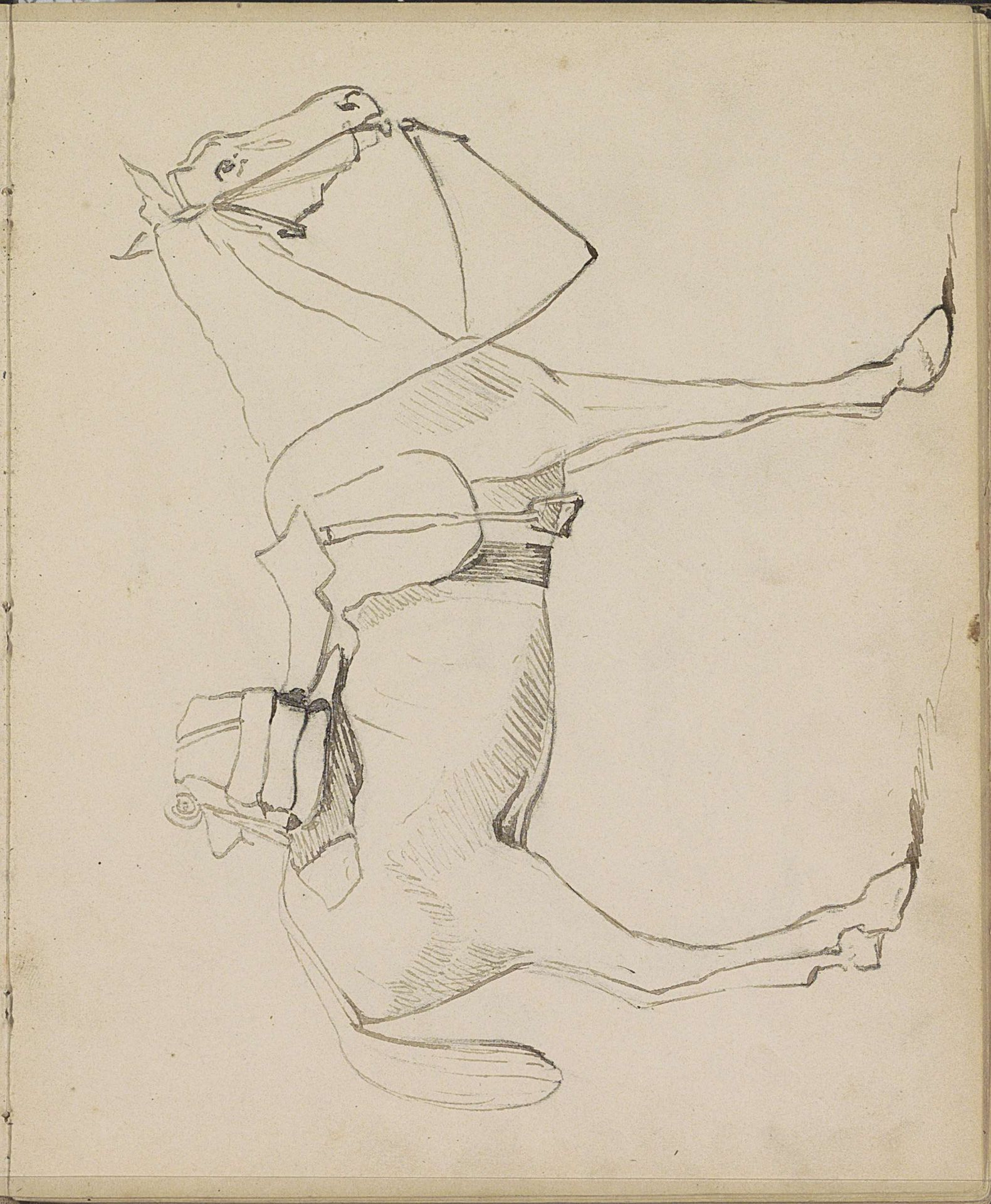 Gezadeld paard, van opzij gezien by Johannes Tavenraat