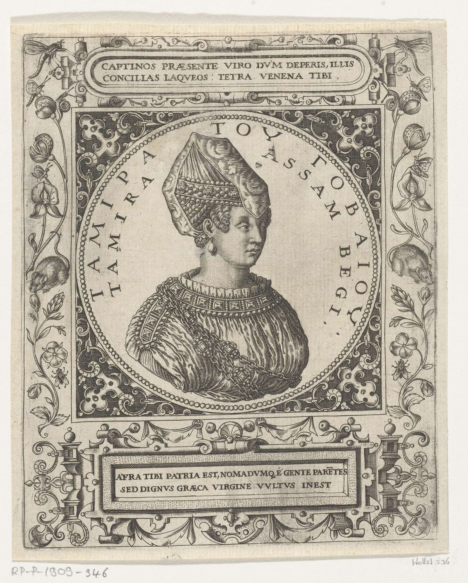 Portret van de sultane Tamira by Theodor de Bry