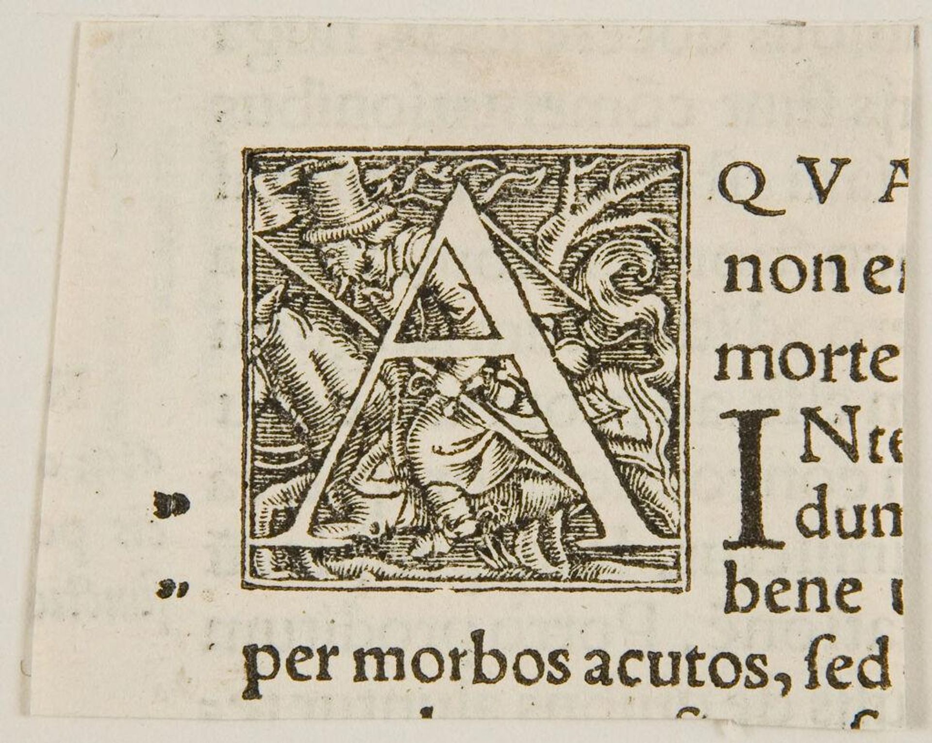 Letter A by Anonymous
