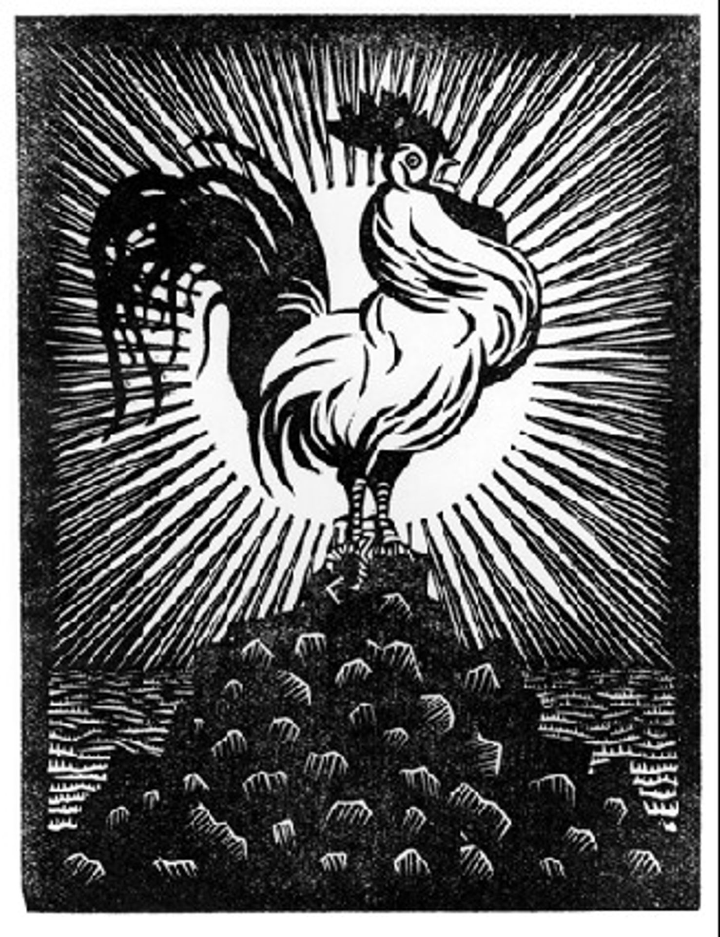 Flor de Pascua - Theosophy by M.C. Escher