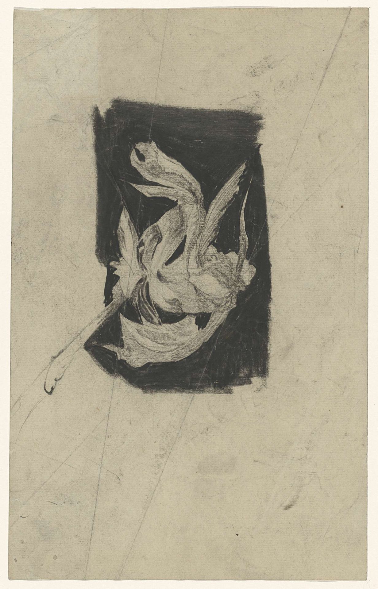 Grillige bloem by Carel Adolph Lion Cachet