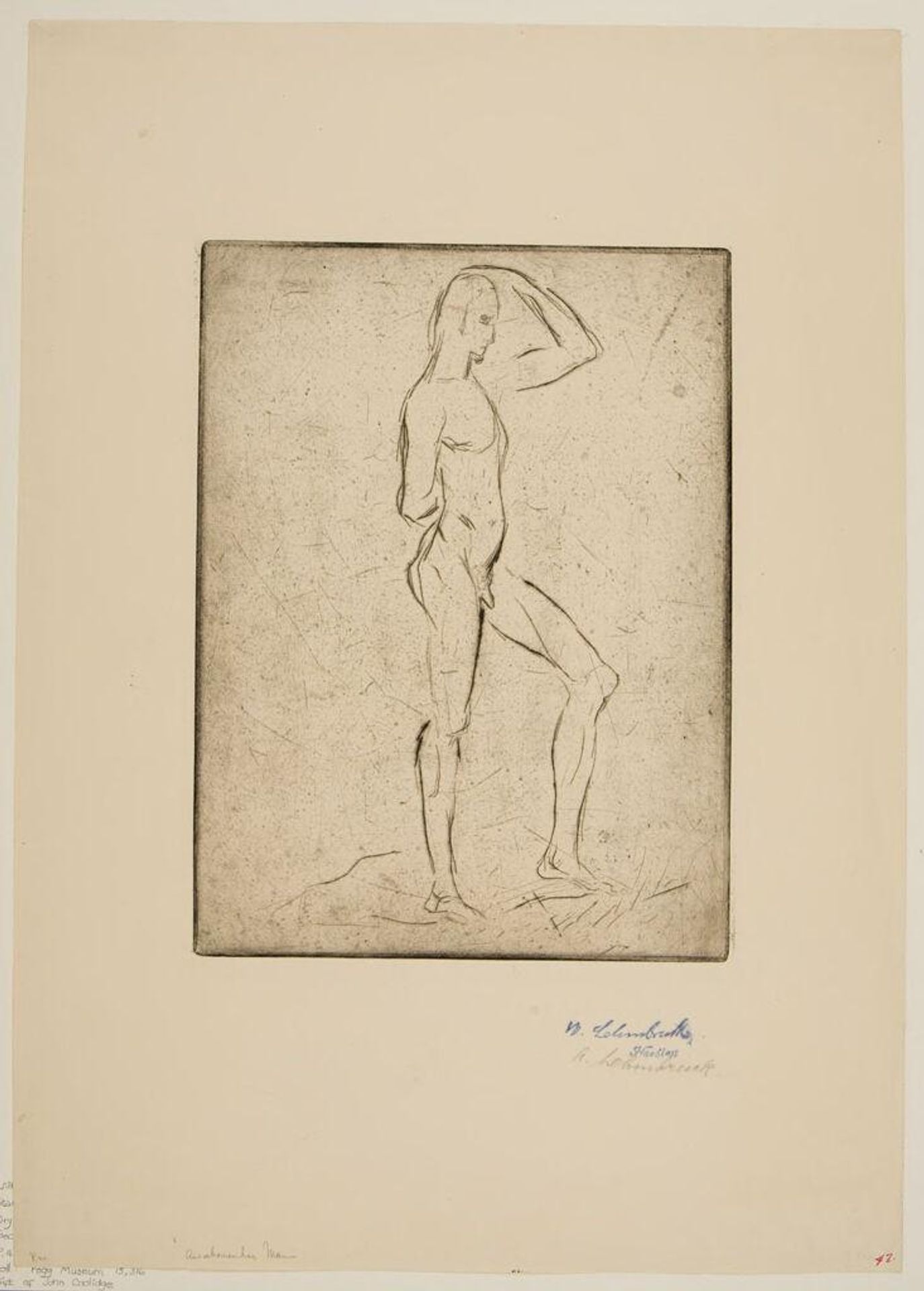 Standing Male Nude by Wilhelm Lehmbruck