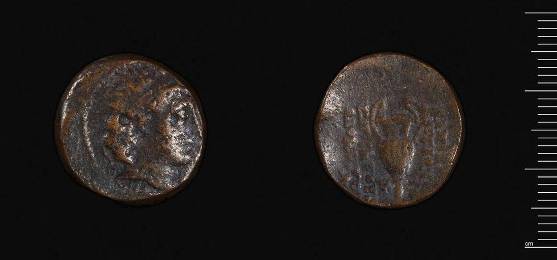 Coin of Antiochos VI Dionysos of Syria, Antioch by Antiochos VI Dionysos