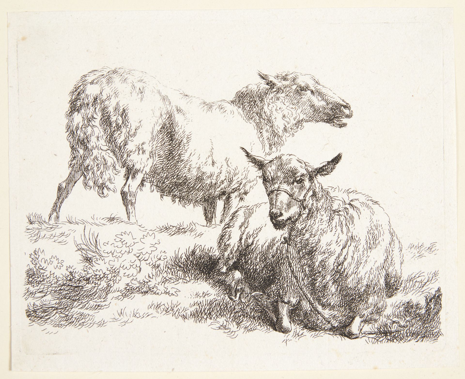 Et stående og et liggende får by Nicolaes Berchem