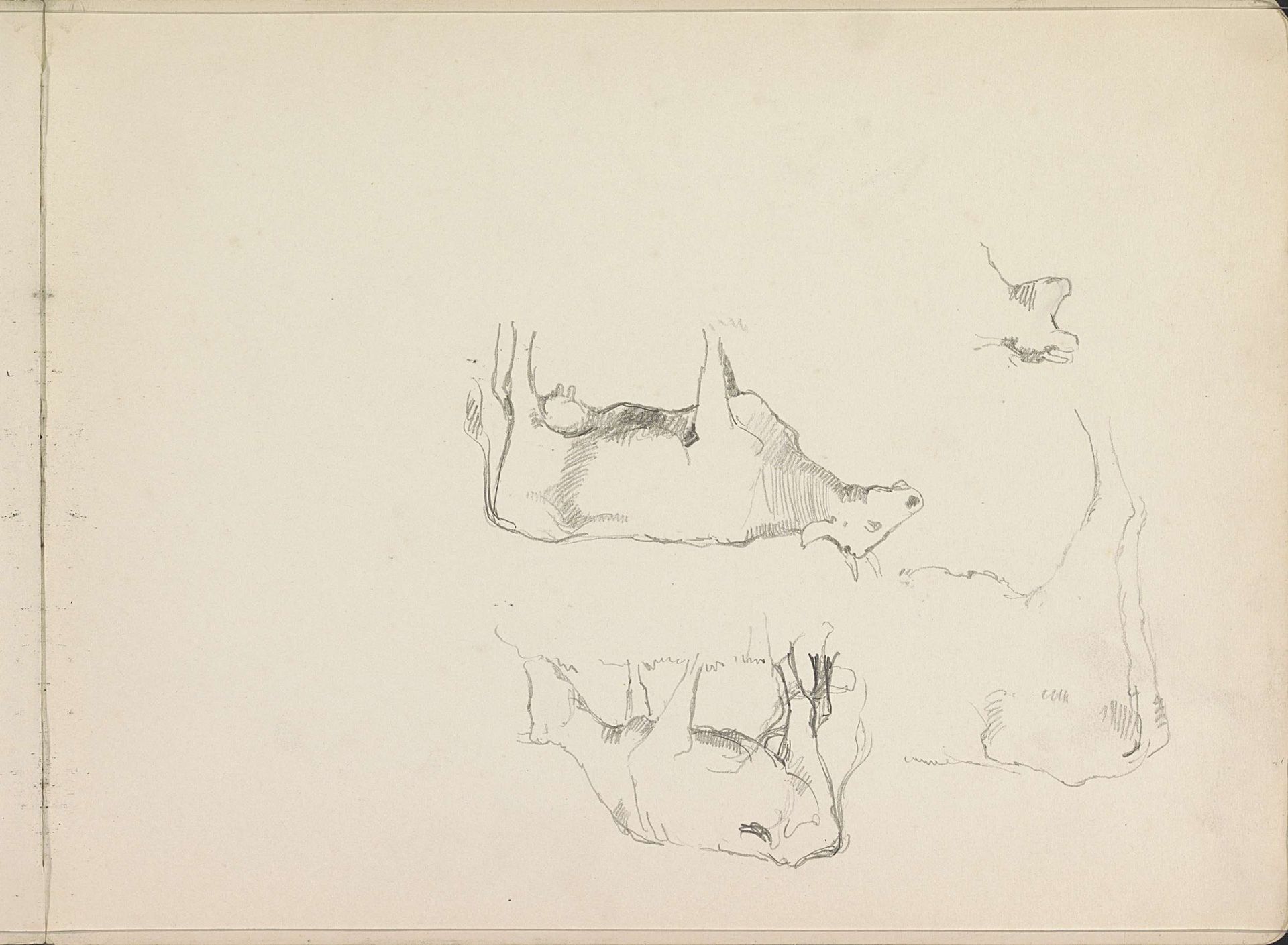 Koeien by Cornelis Vreedenburgh