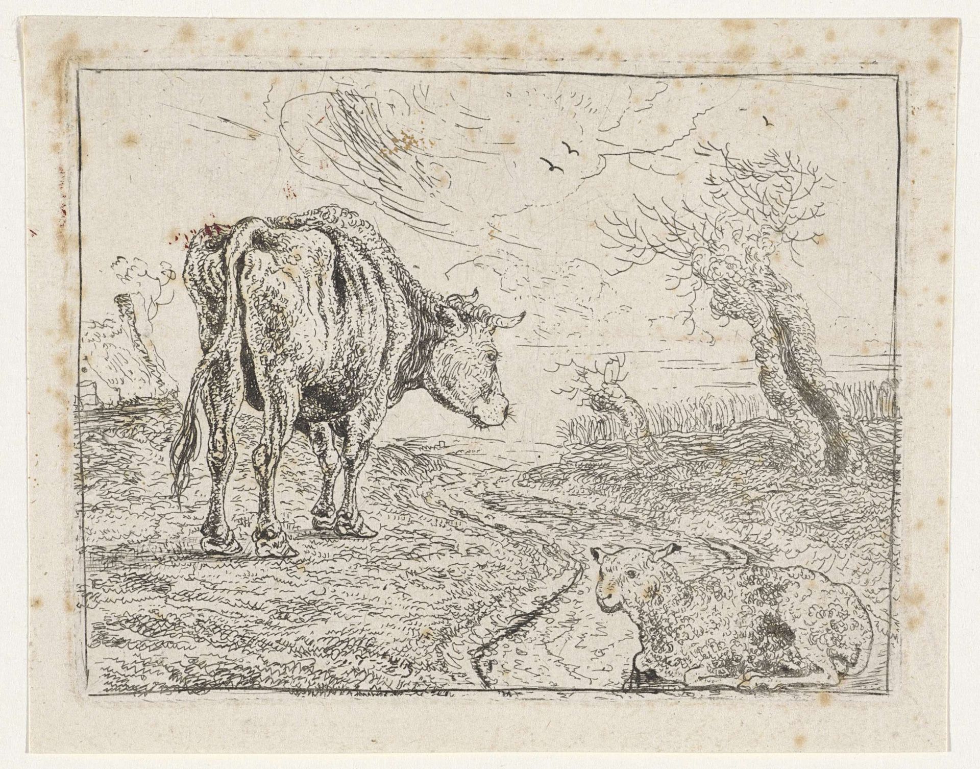 Os en schaap by Jan Jansz. den (II) Uyl