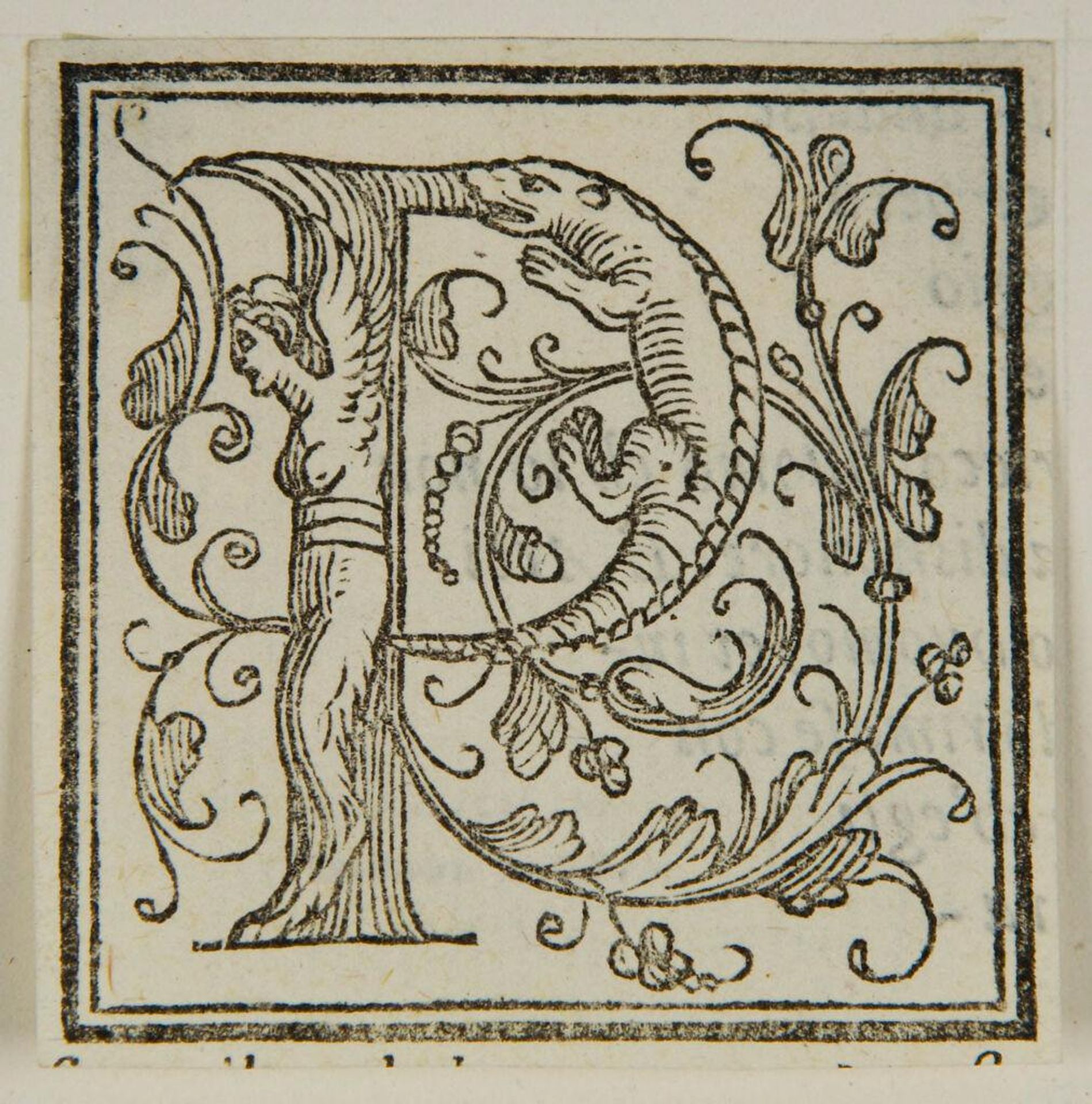 Initial P by Anonymous