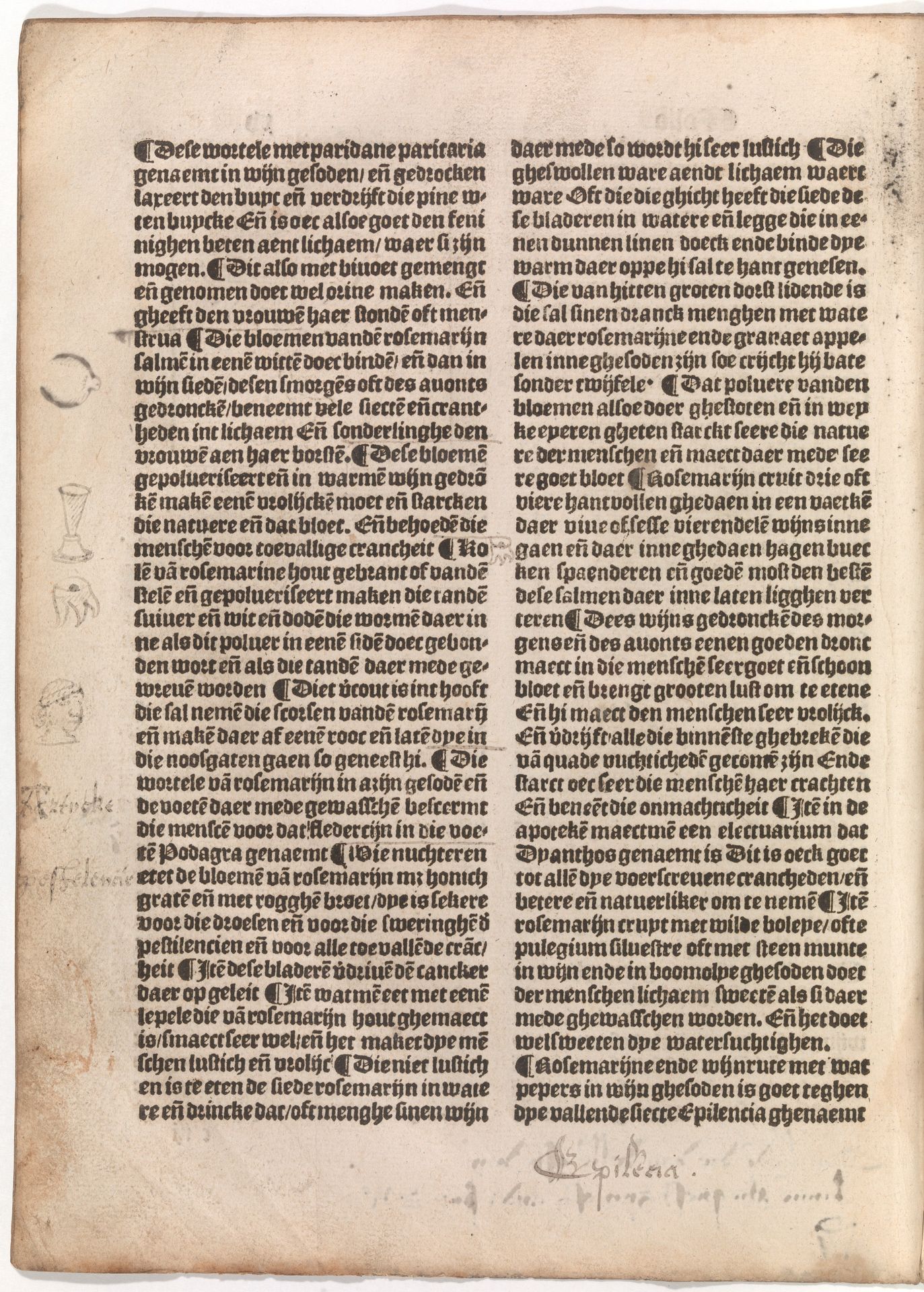 De(n) grote(n) herbari met al sijn figuere(n) by Claes de Grave