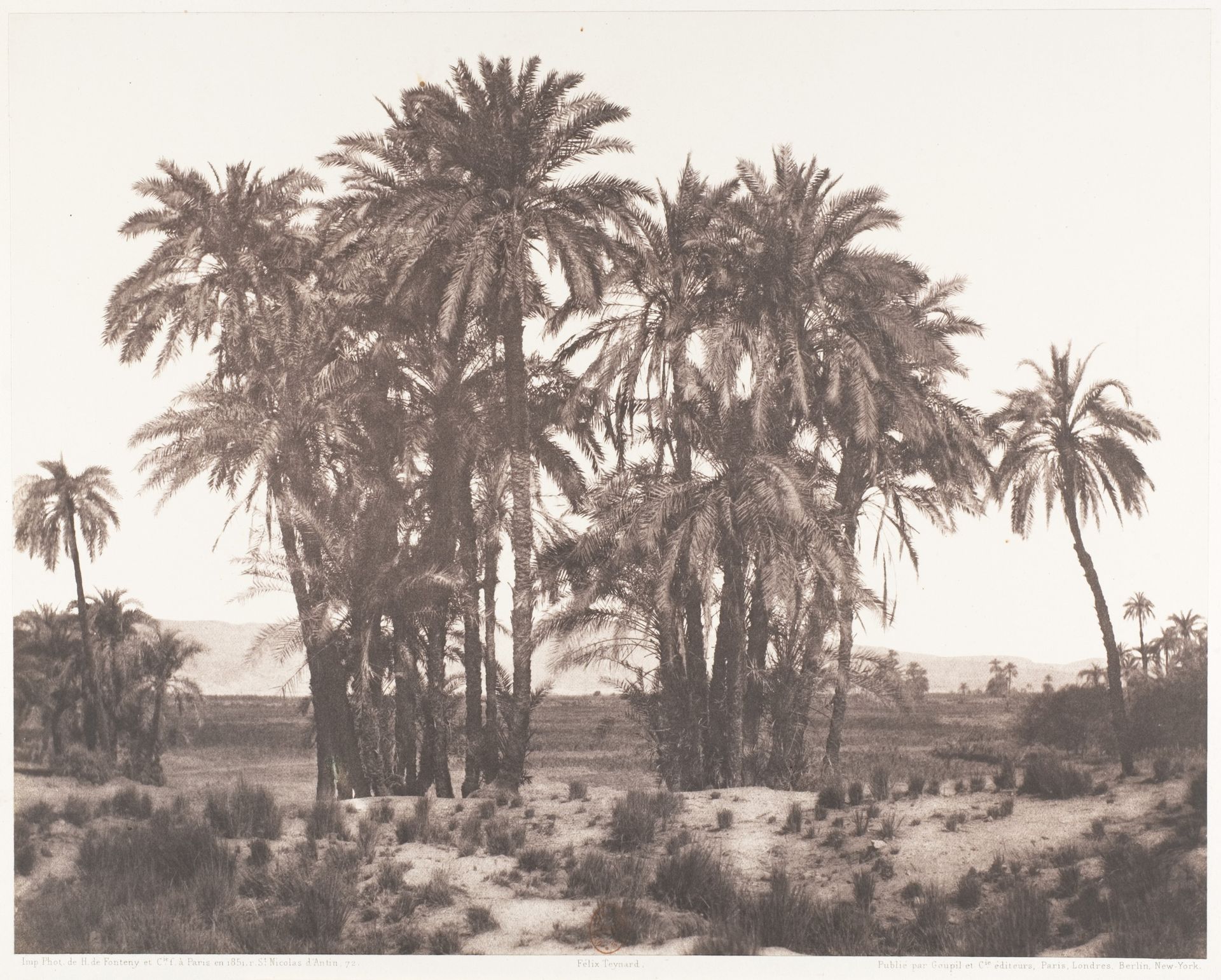 Karnak, Groupe de Dattiers Vu du Point A by Félix Teynard