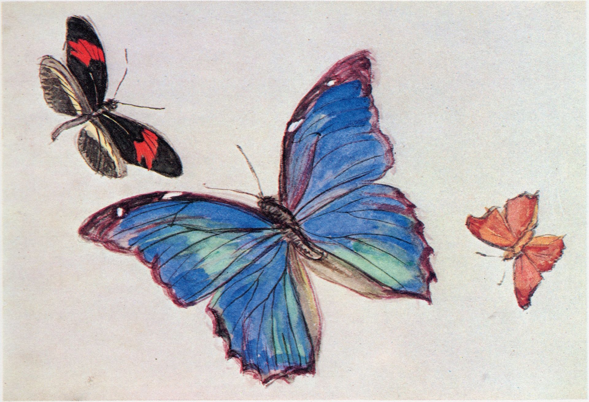 From the Notebooks Mourning for Butterflies by Fujishima Takeji