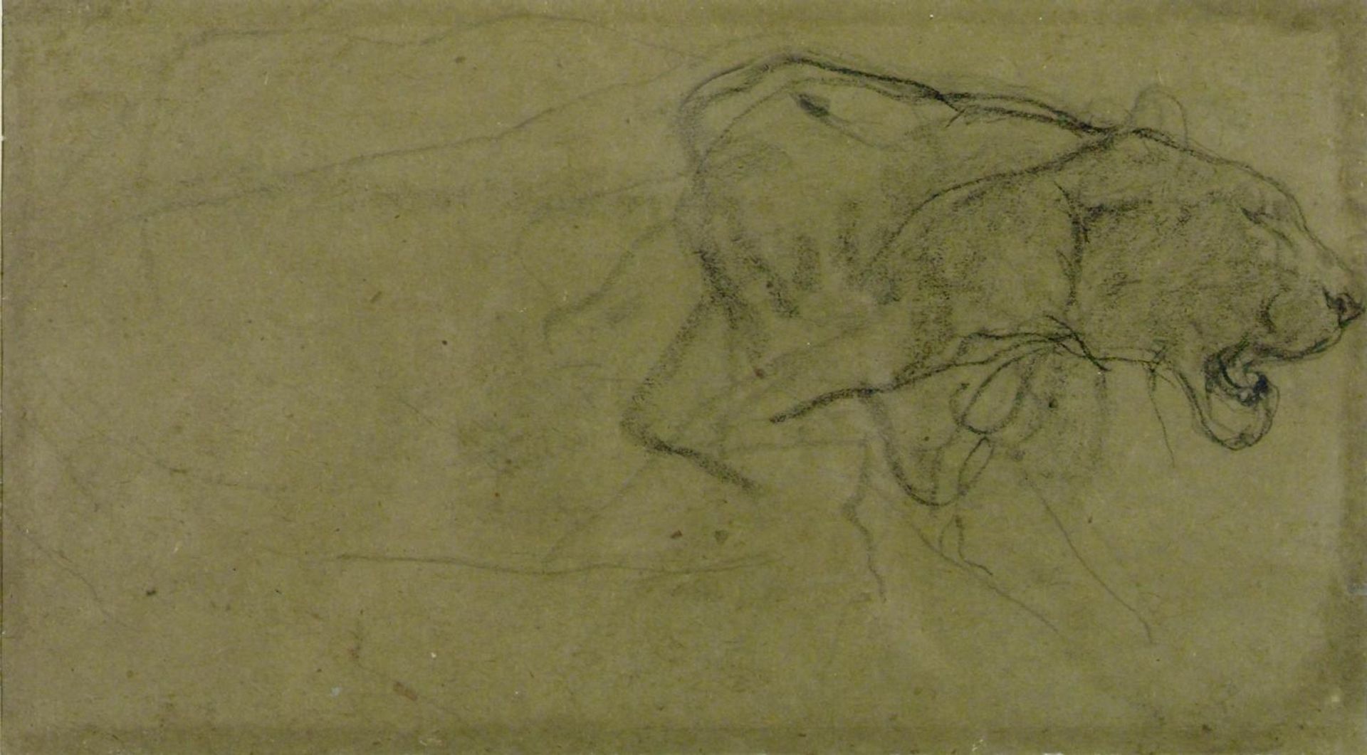 Lioness Walking by John Macallan Swan