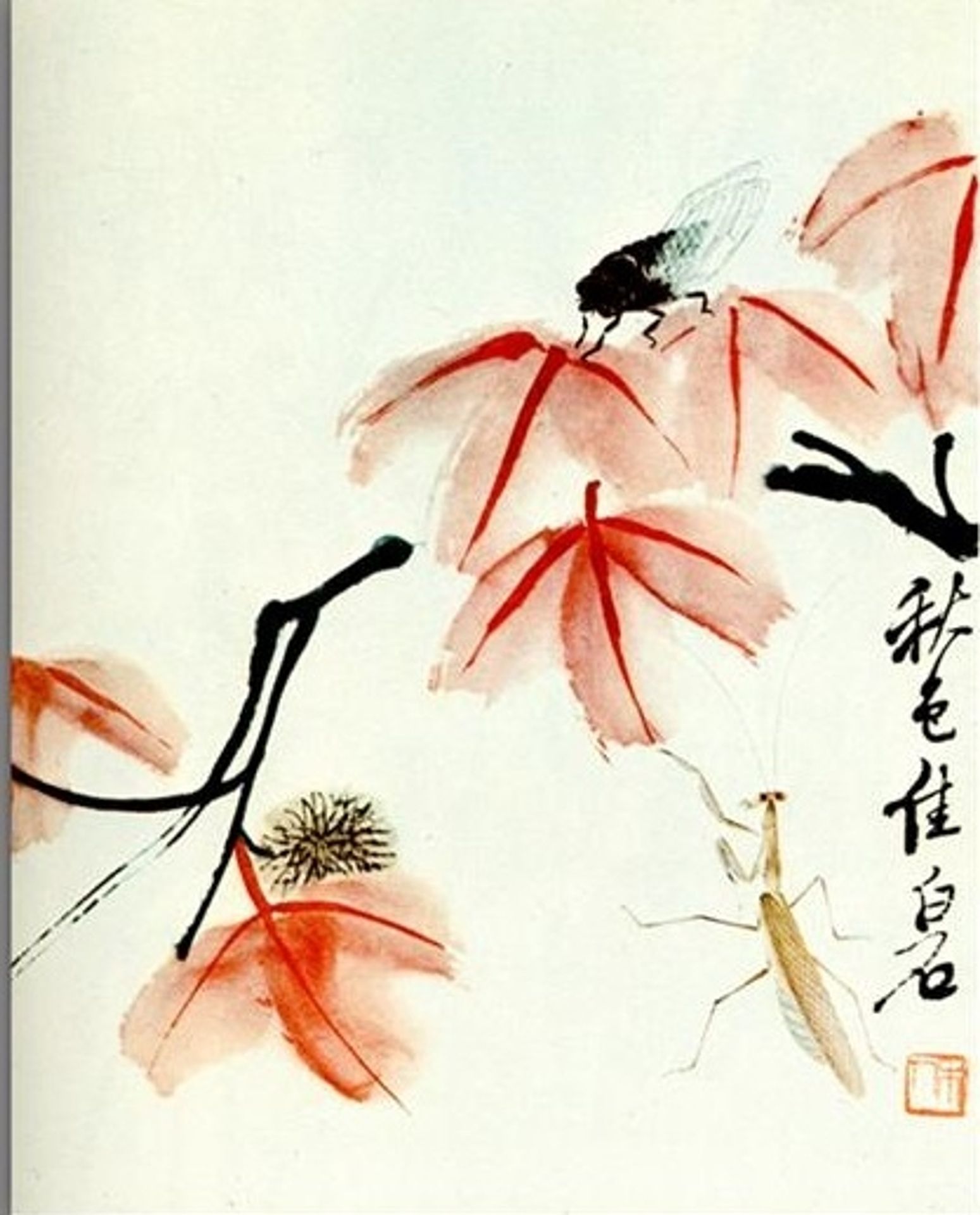 Likvidambra Taiwan and the cicada by Qi Baishi