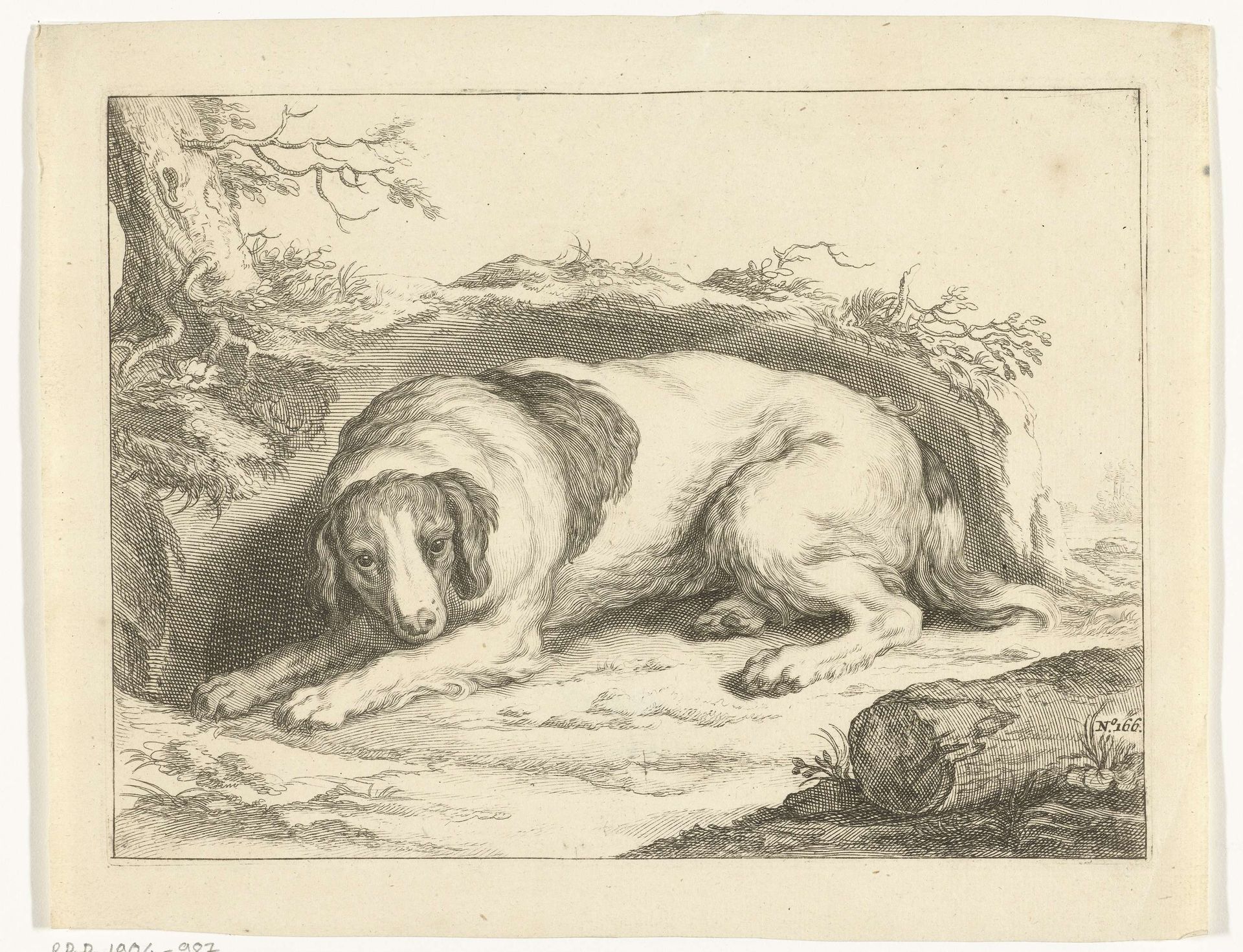 Spaniël by Frederick Bloemaert