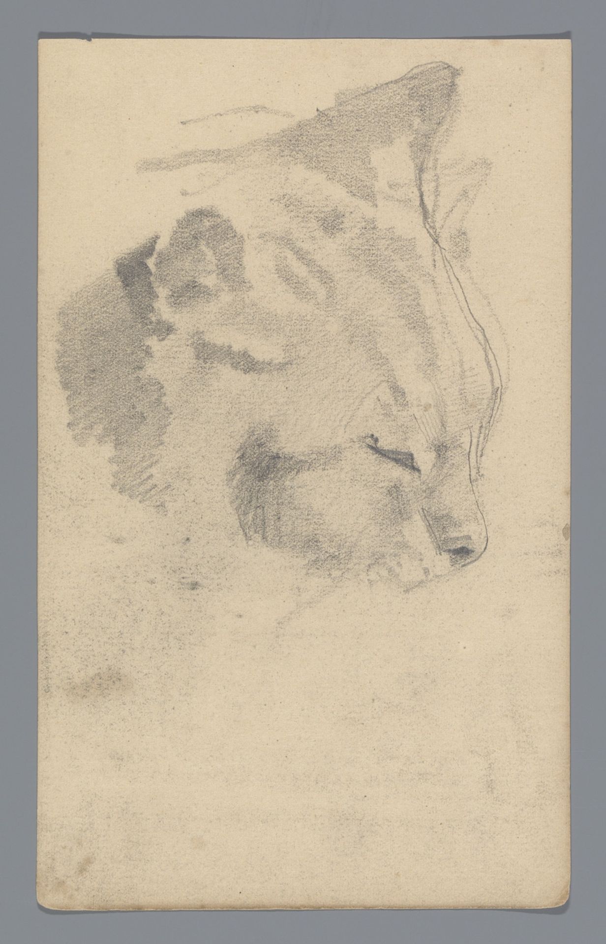 Kop van een kat by George Hendrik Breitner