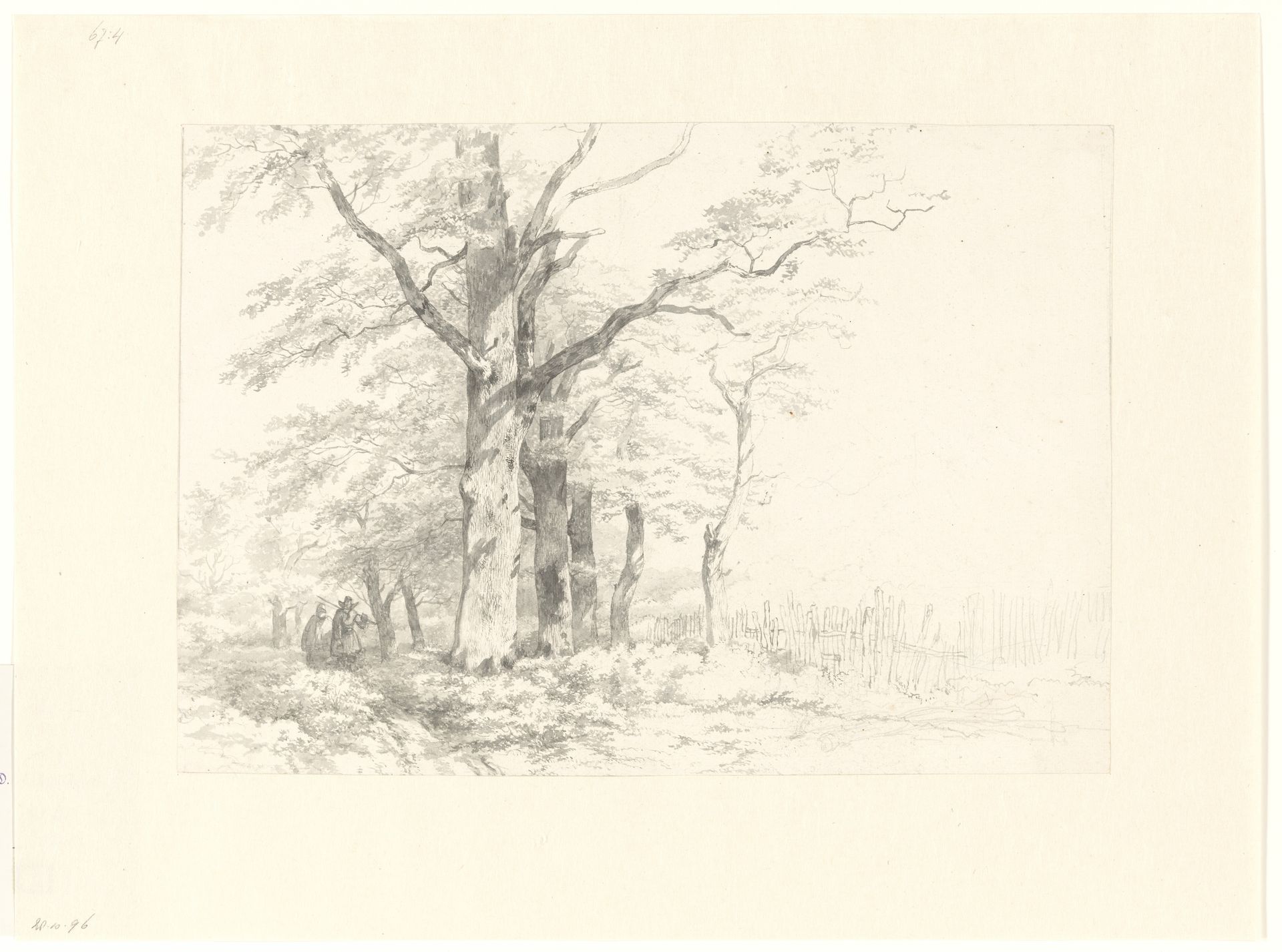 Studie van eiken in een landschap by Albertus Brondgeest