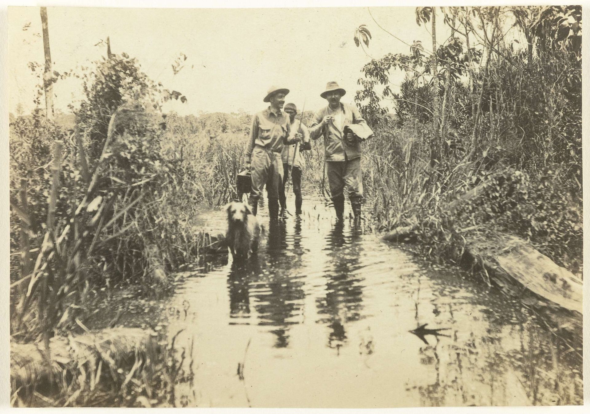Op pad op terrein van plantage Accaribo te Suriname by Anonymous