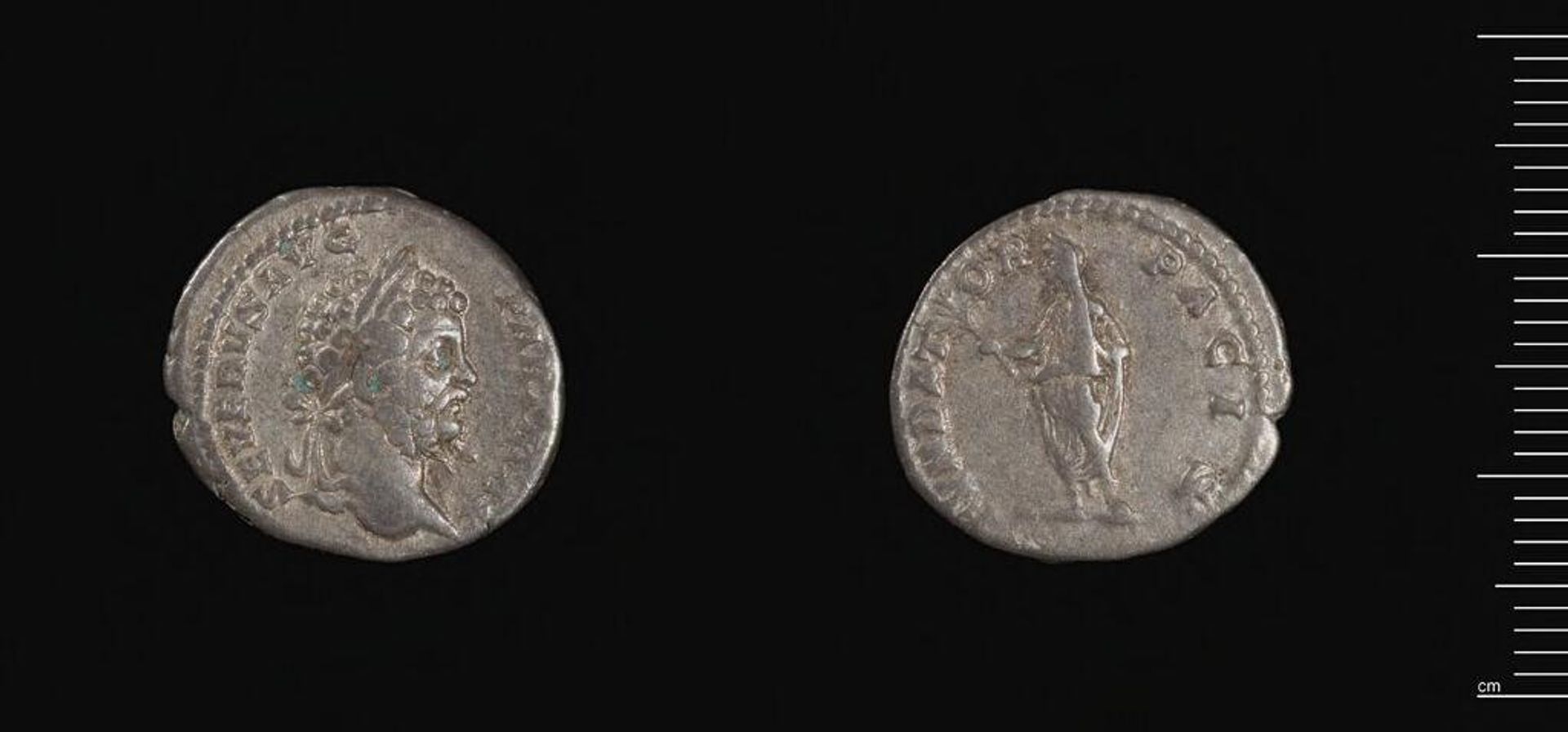 Denarius of Septimius Severus by Septimius Severus