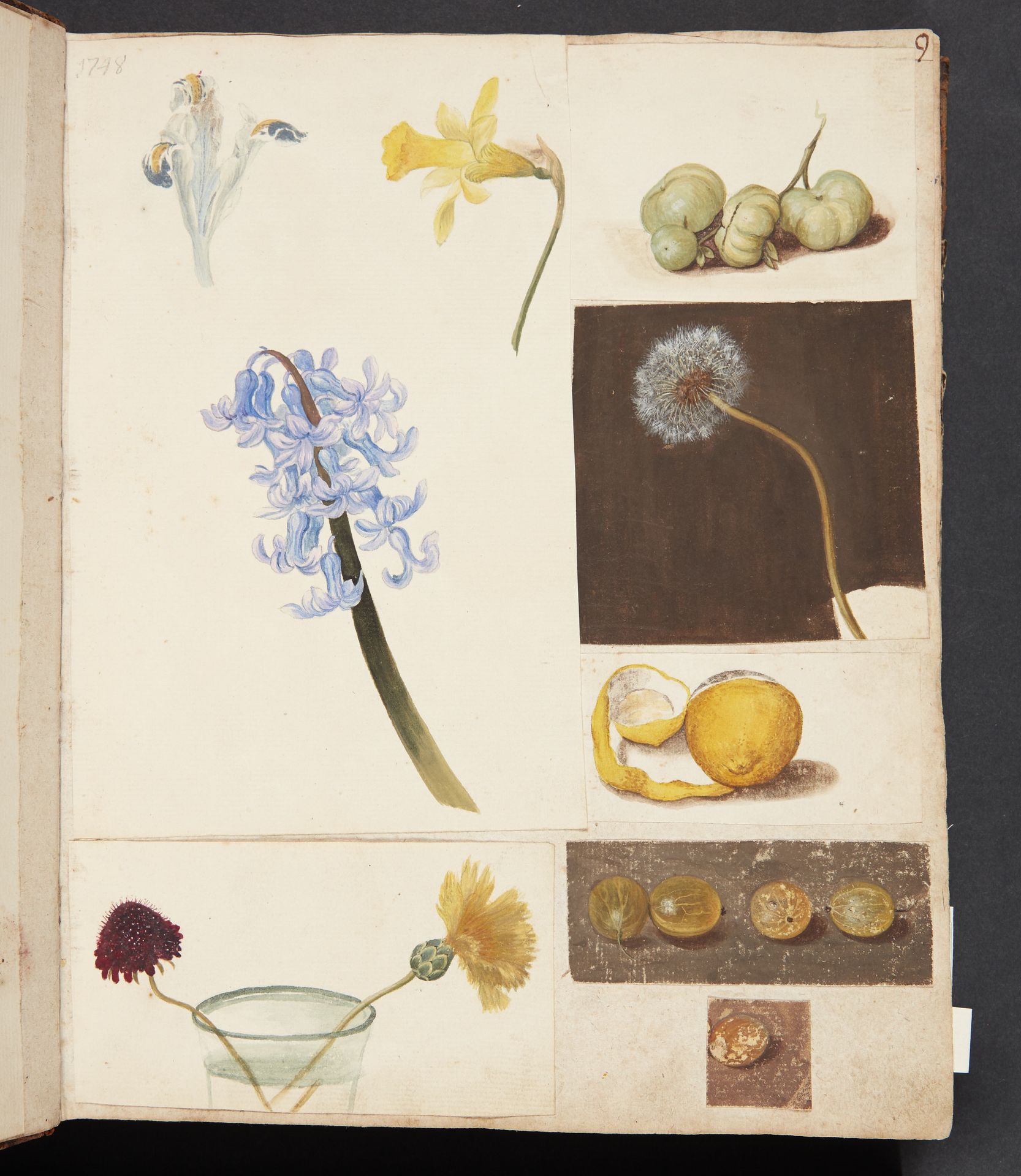Studie af blomster, frugter og grønne tomater by Johanna Fosie