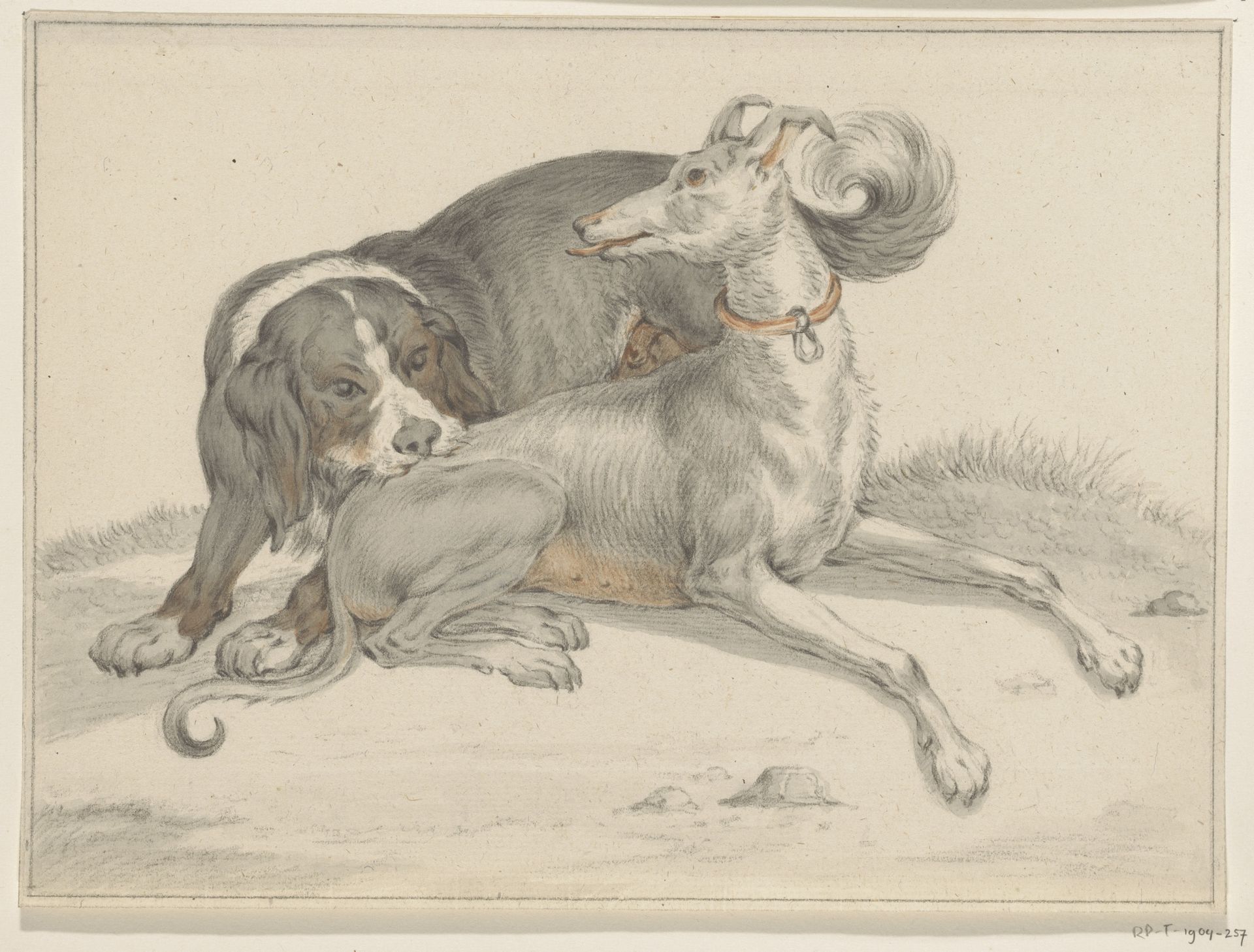 Een hond bijt een andere zittende hond in de rug by Jean Bernard