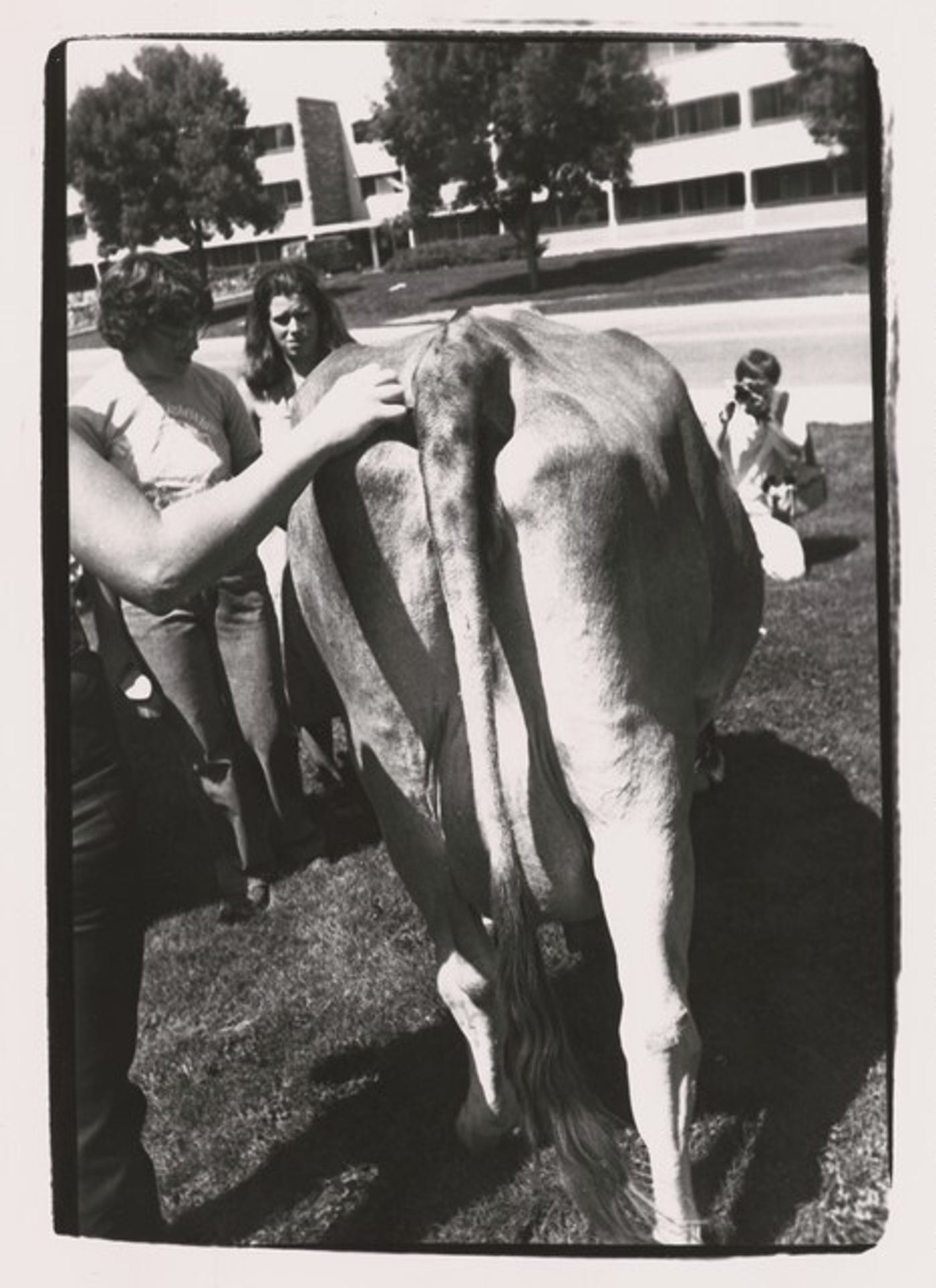 Animals by Andy Warhol